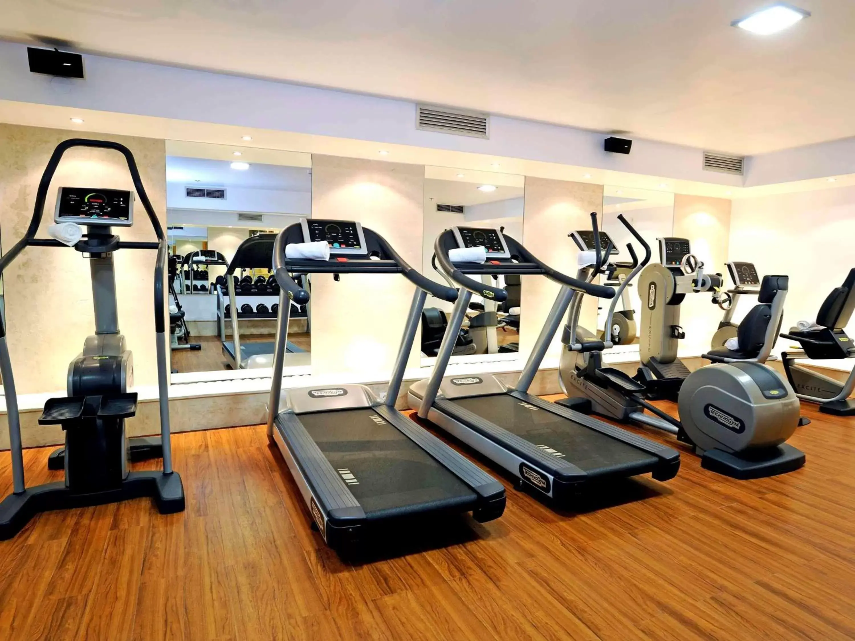 Fitness centre/facilities, Fitness Center/Facilities in Novotel Sarajevo Bristol