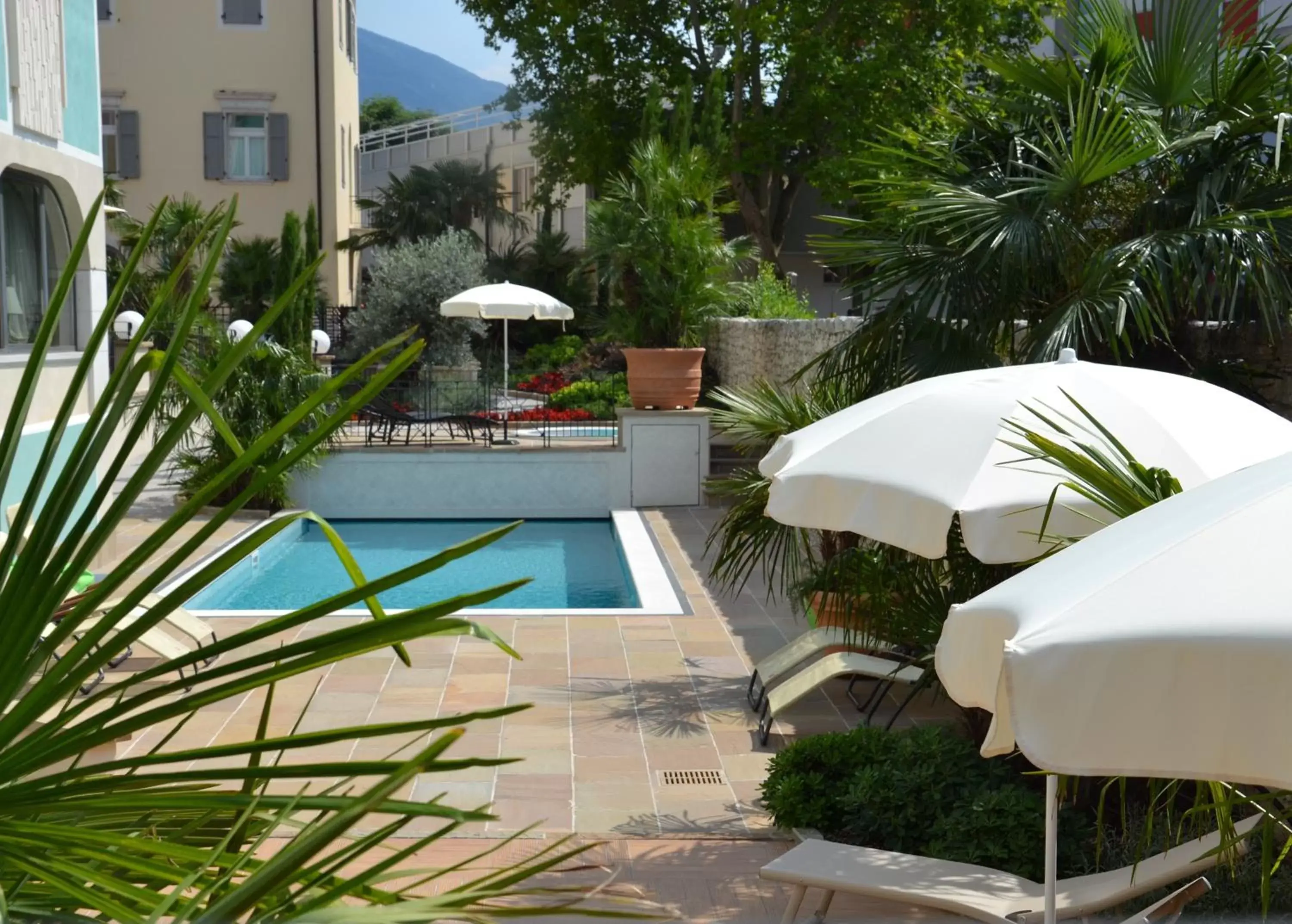 Garden, Swimming Pool in Hotel Leon d'Oro