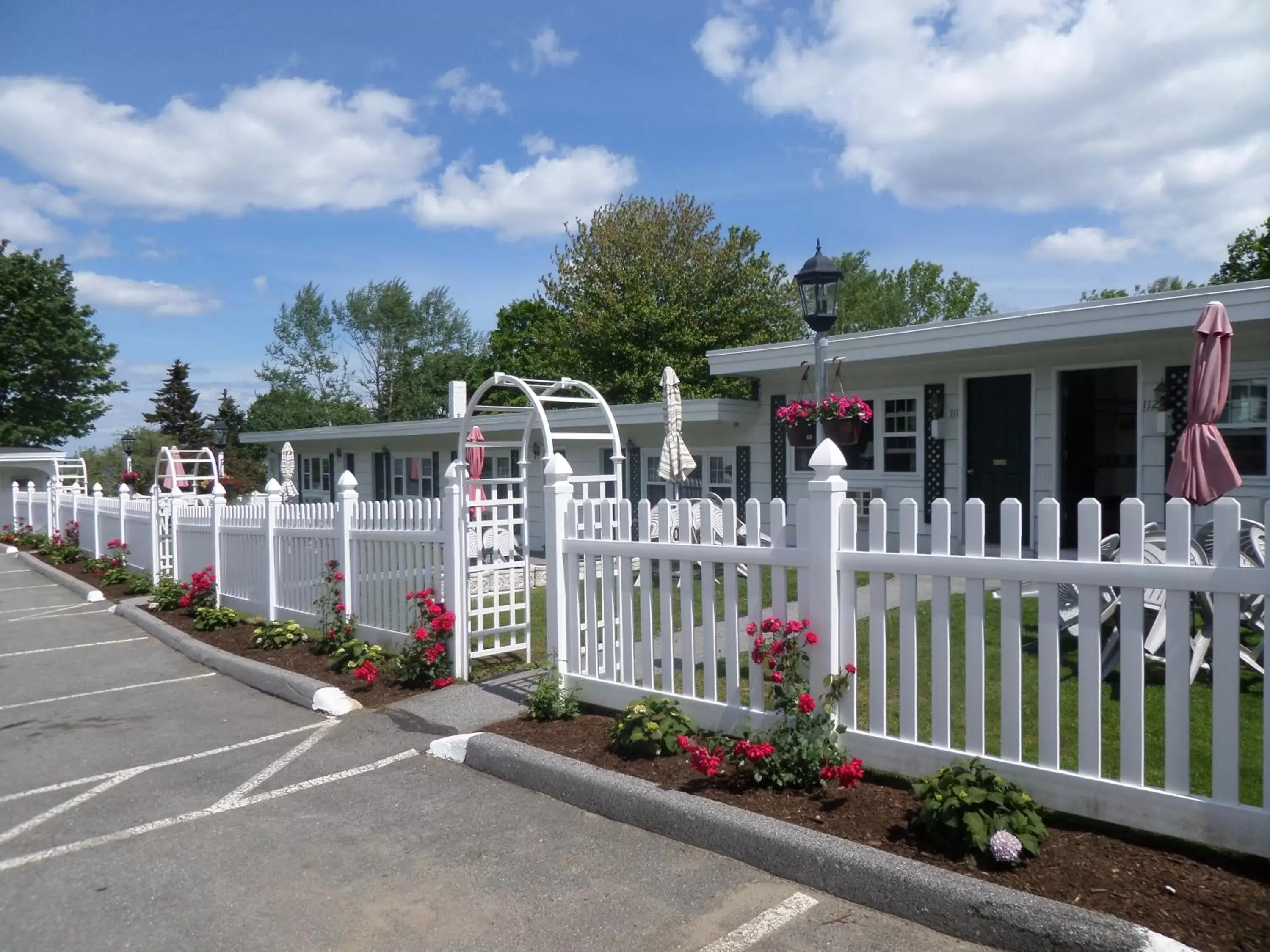 Garden, Property Building in Claddagh Motel & Suites