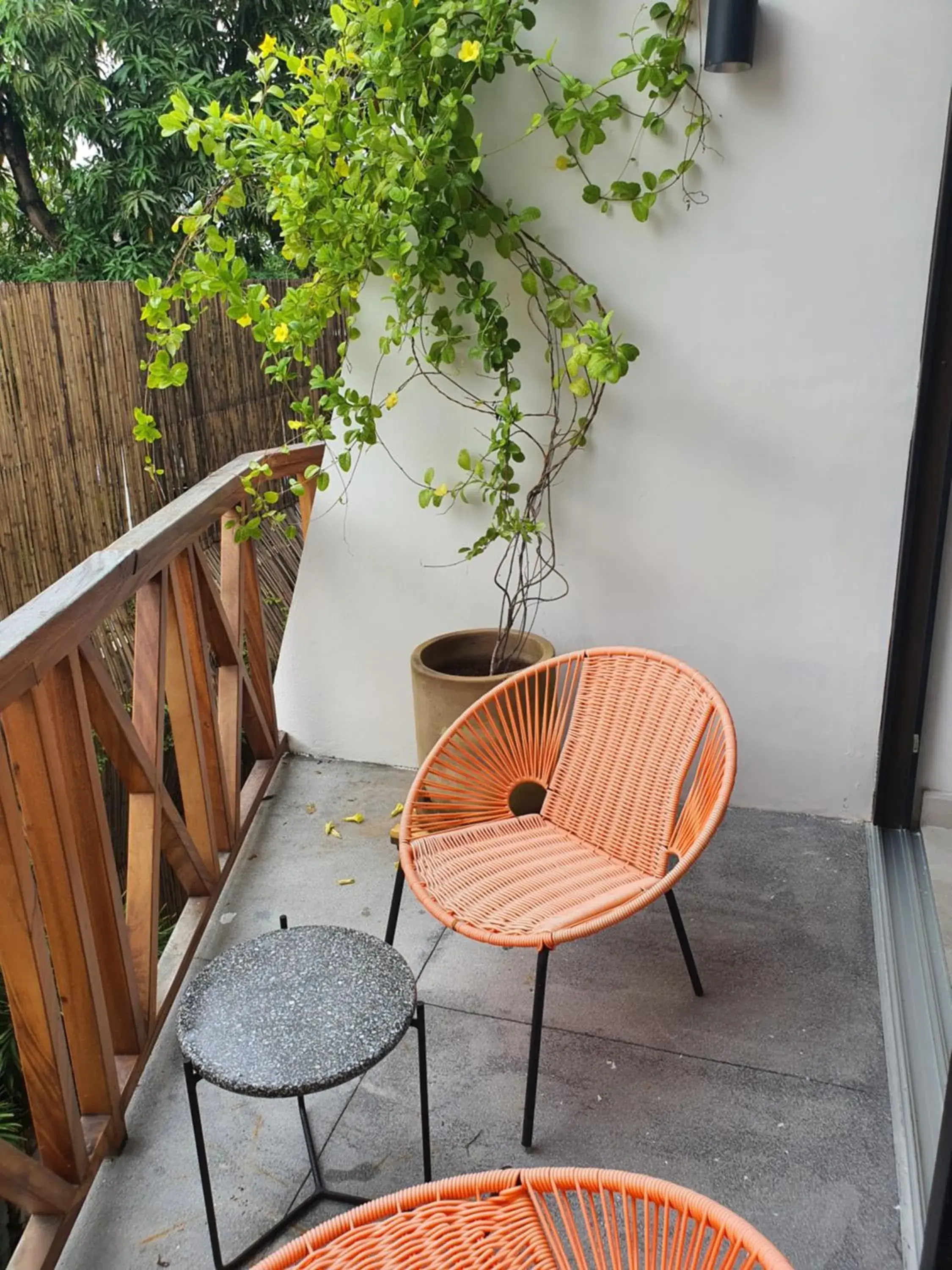 Balcony/Terrace in Ximena Hotel Boutique