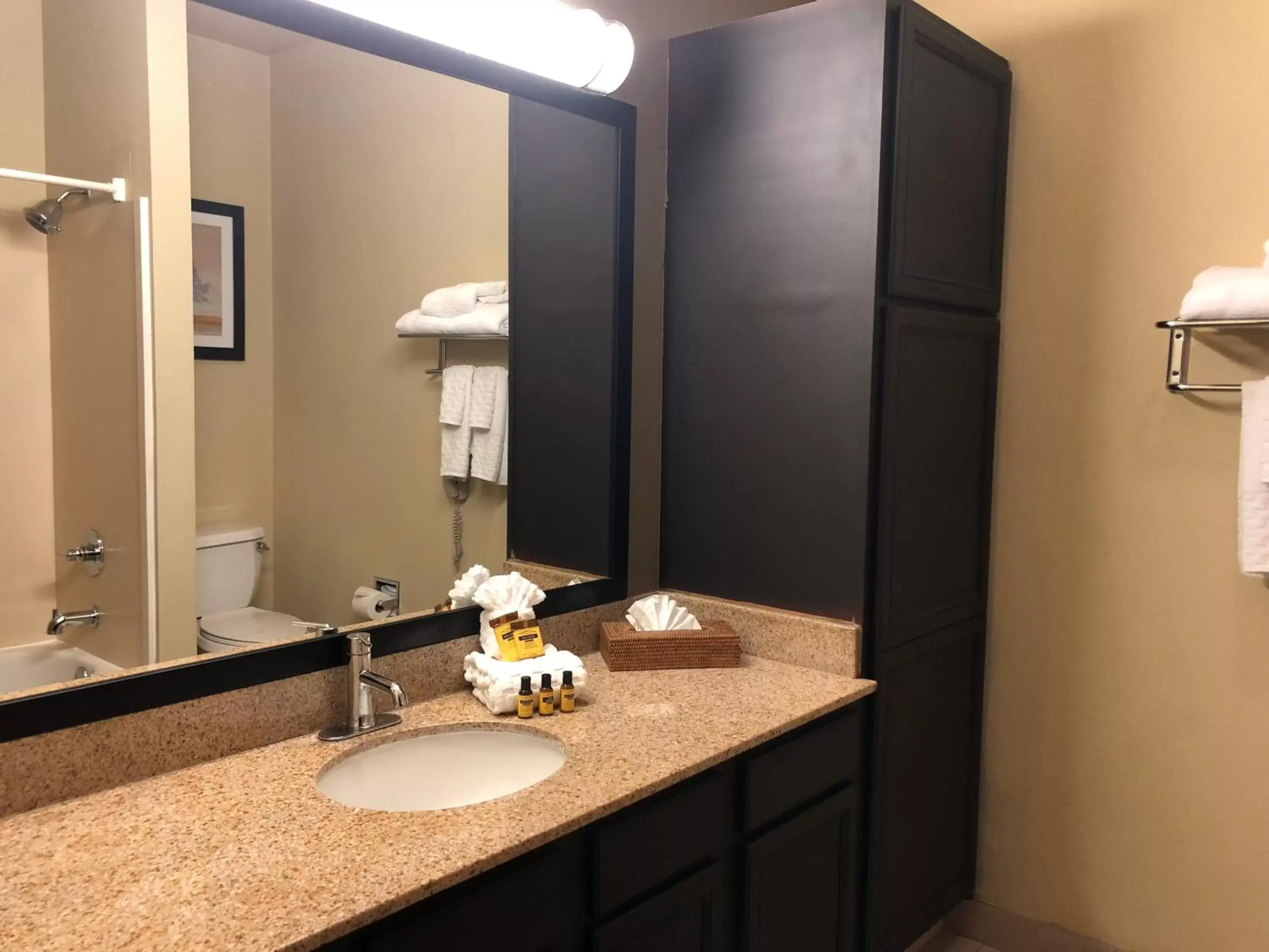 Bathroom in Best Western Plus Hill Country Suites - San Antonio