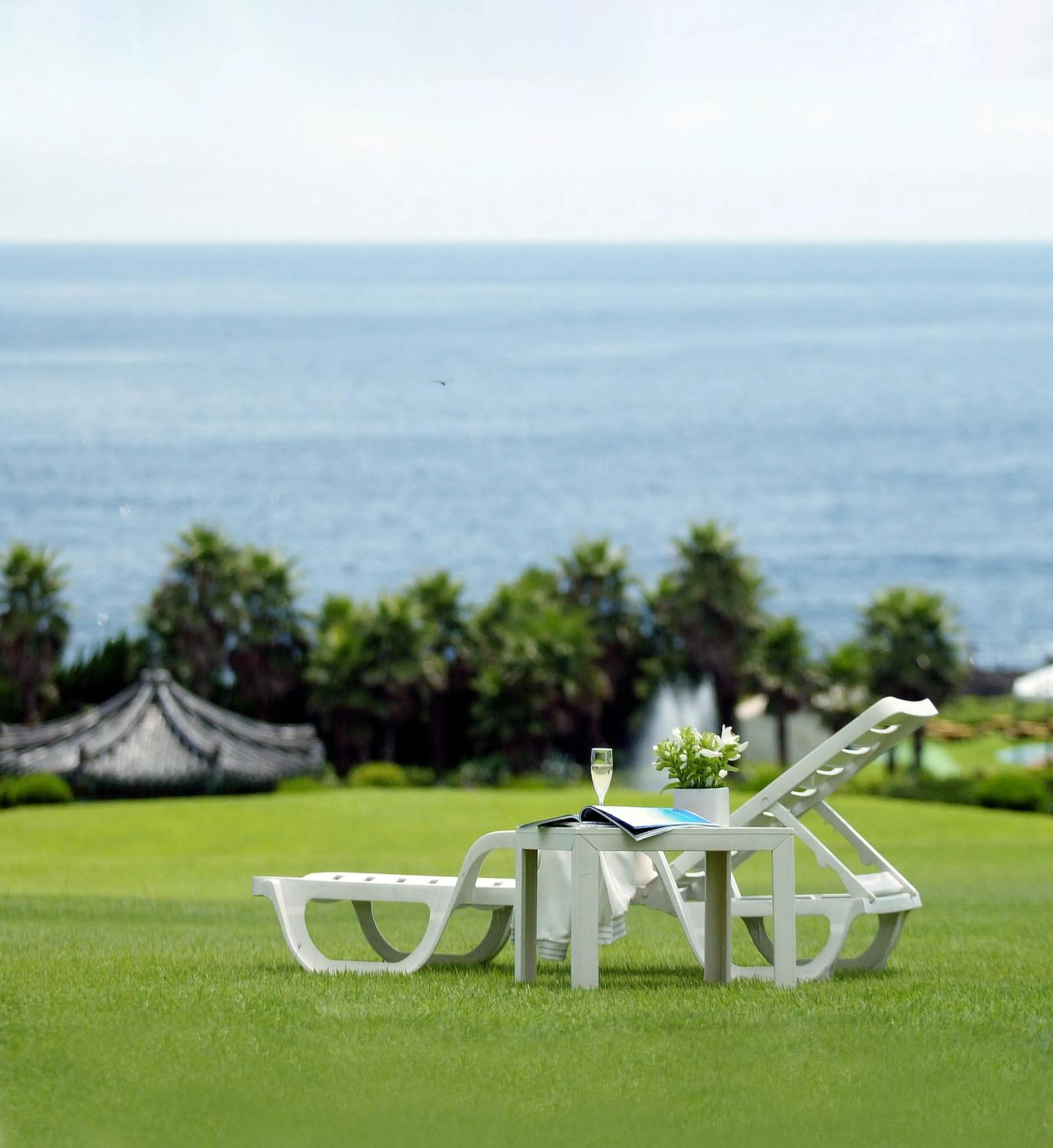 Garden in Seogwipo KAL Hotel