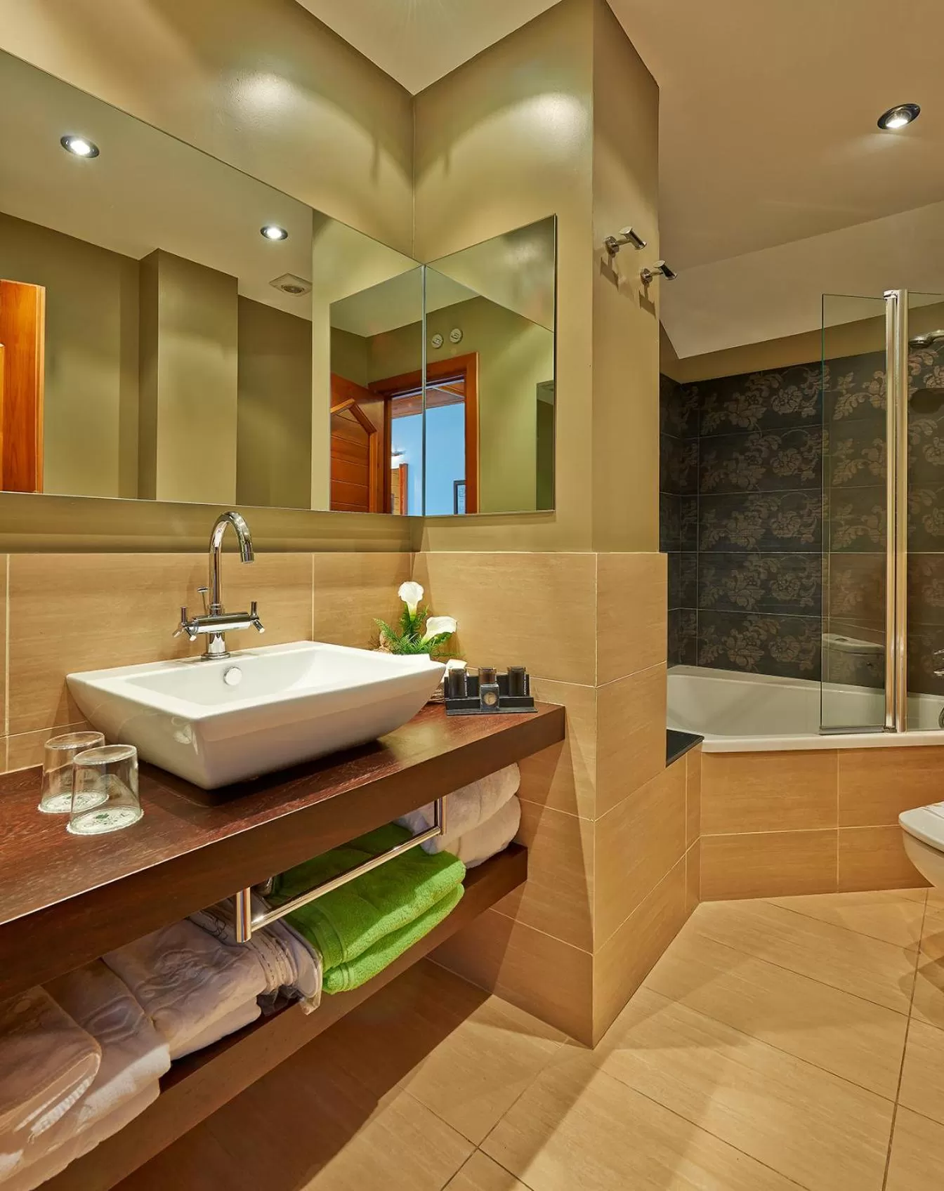 Bathroom in Hotel Grèvol Spa