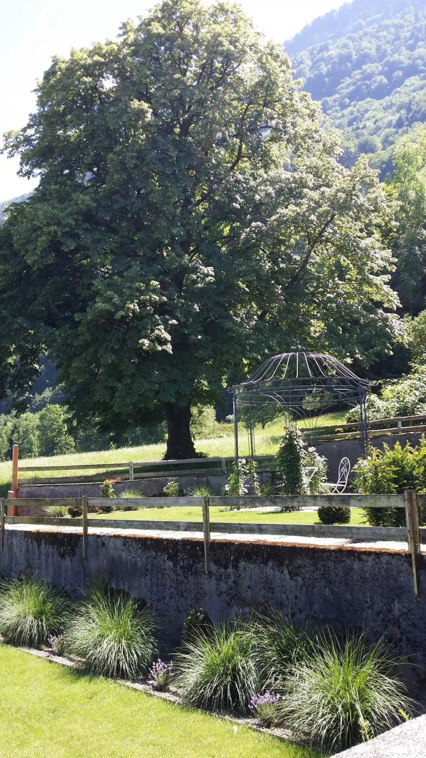 Garden view in BnB Elsenerhaus