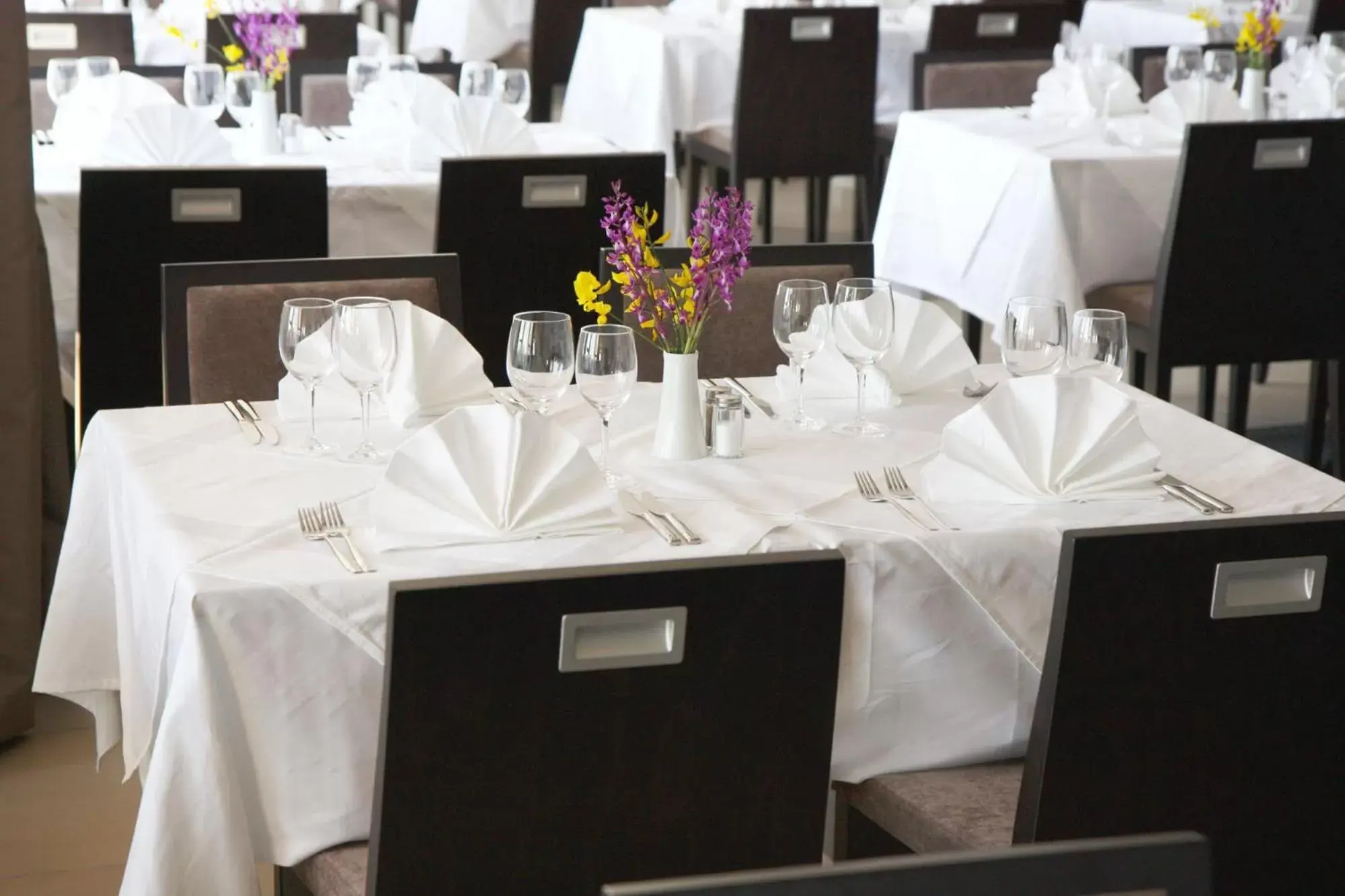 Restaurant/places to eat, Banquet Facilities in Hotel Adria