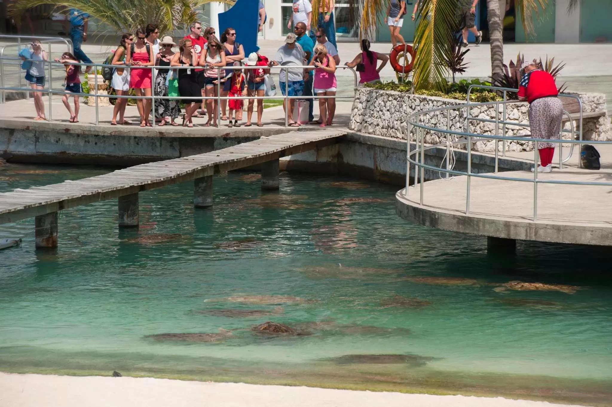 Area and facilities in Holiday Inn Resort Grand Cayman by IHG