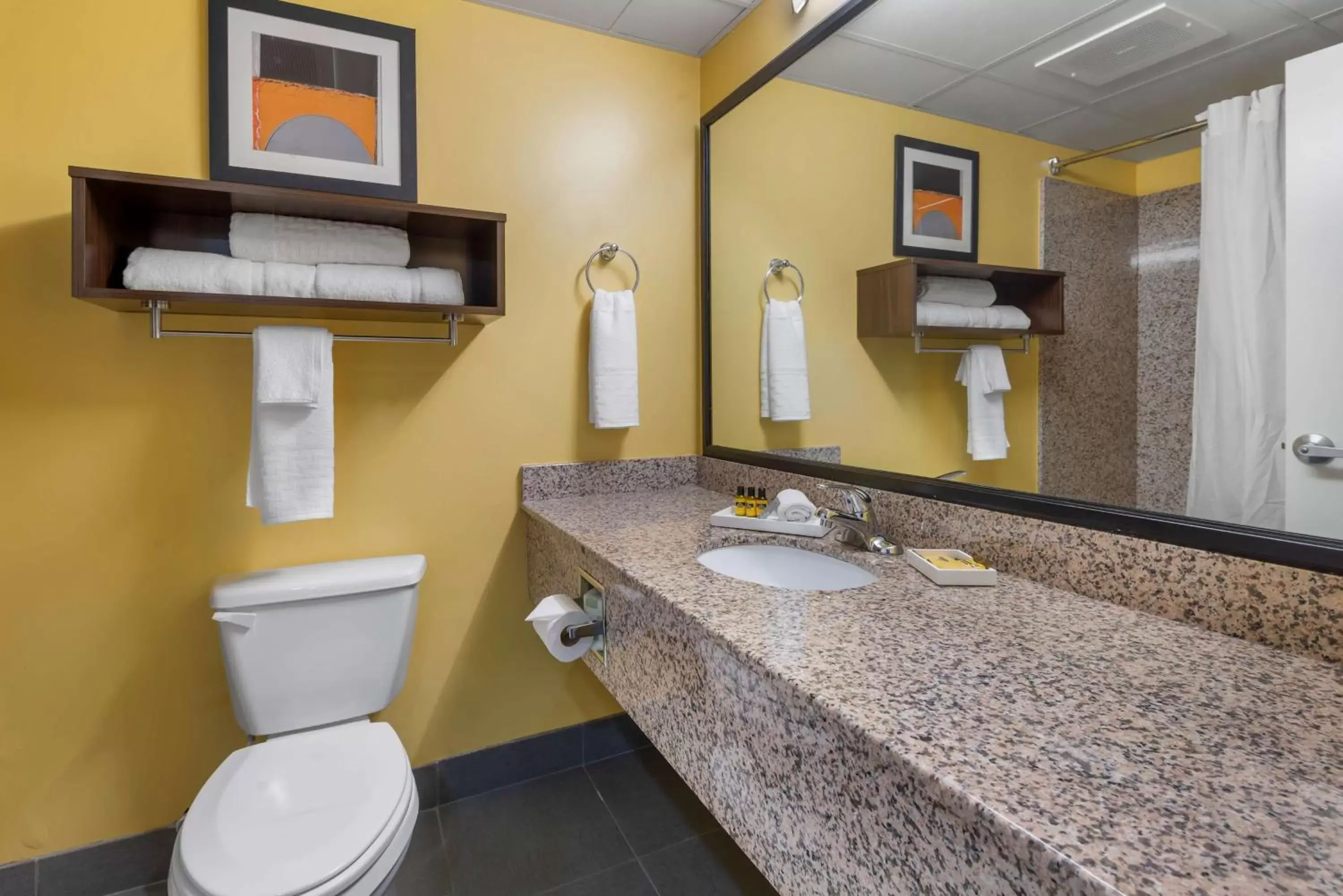 Bathroom in Best Western Plus Suites Greenville