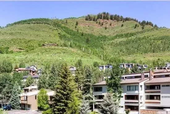 Day, Mountain View in Vail Run Resort