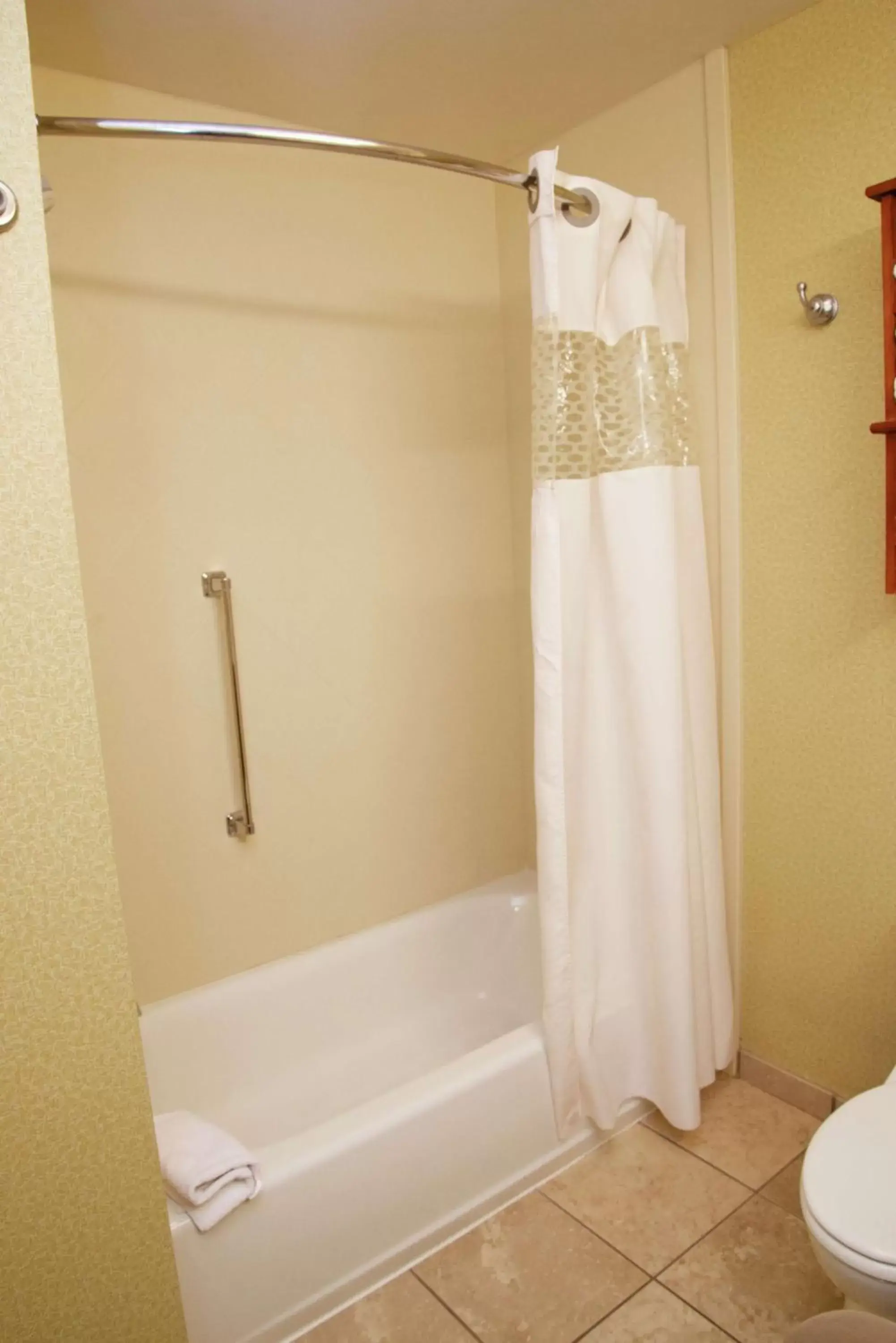 Bathroom in Hampton Inn & Suites Moline-Quad City Int'l Aprt