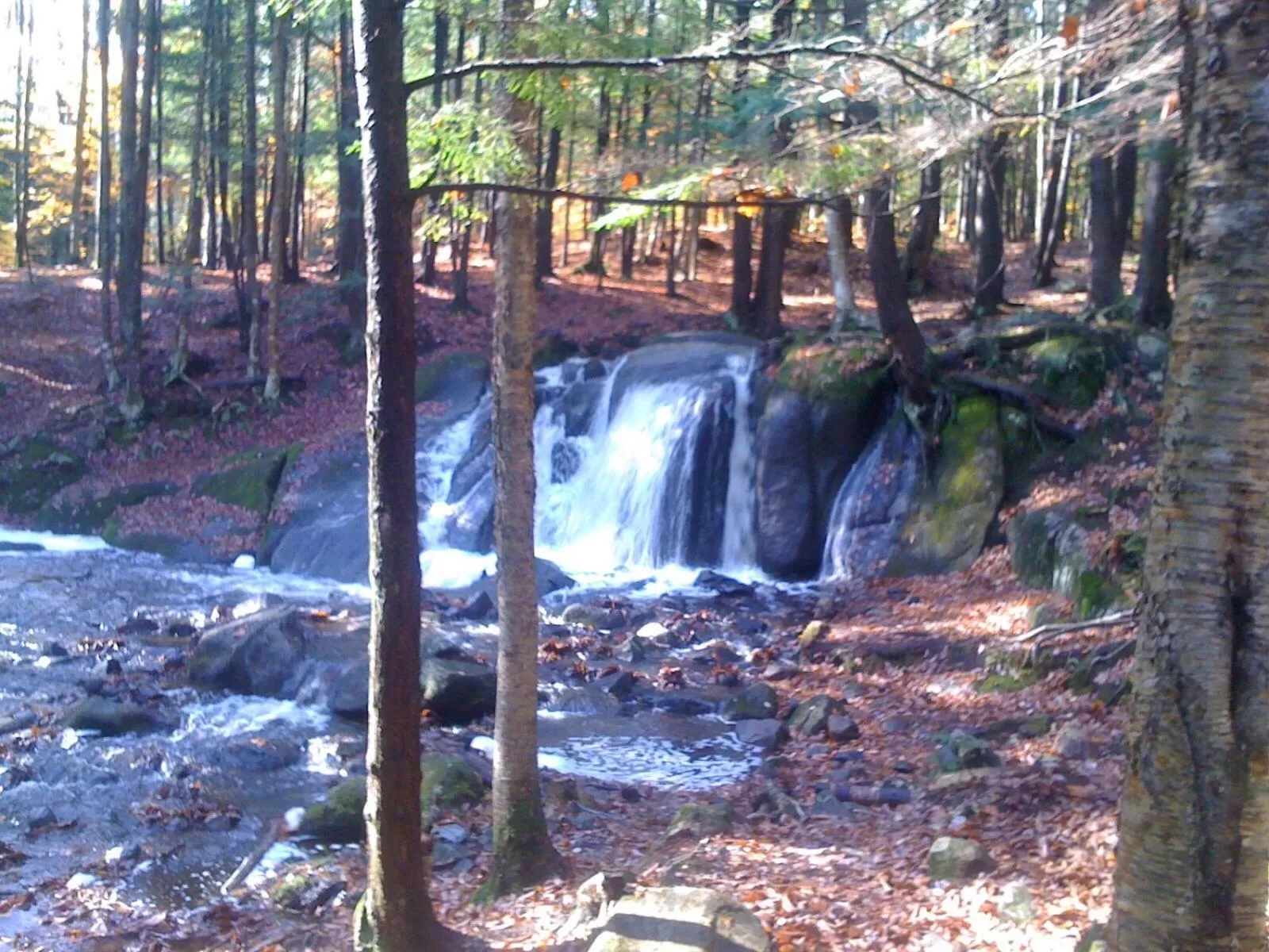 Natural landscape in Au Gré Du Temps - Gîte B&B