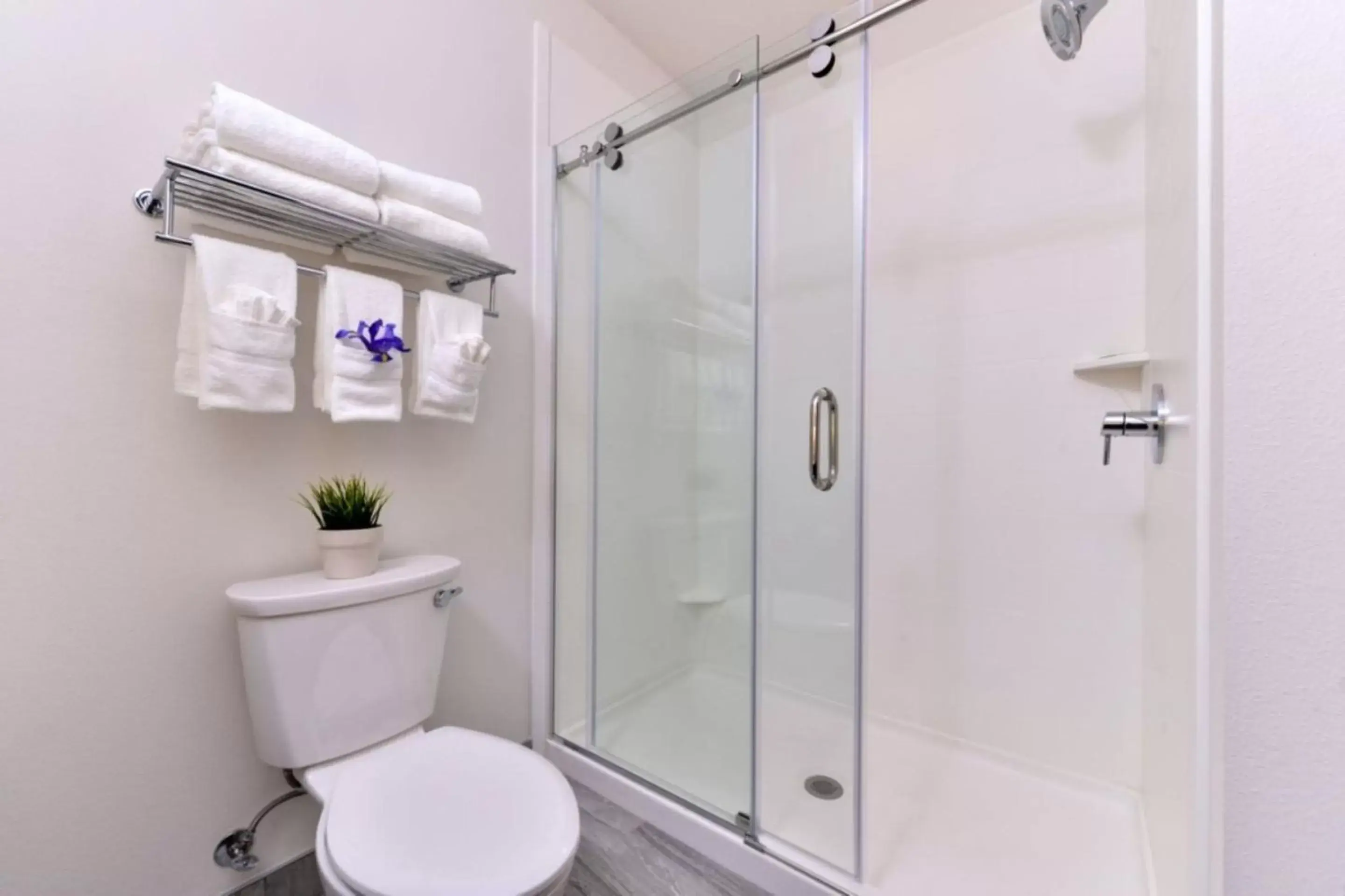 Shower, Bathroom in Holiday Inn Express & Suites San Diego - Mission Valley, an IHG Hotel