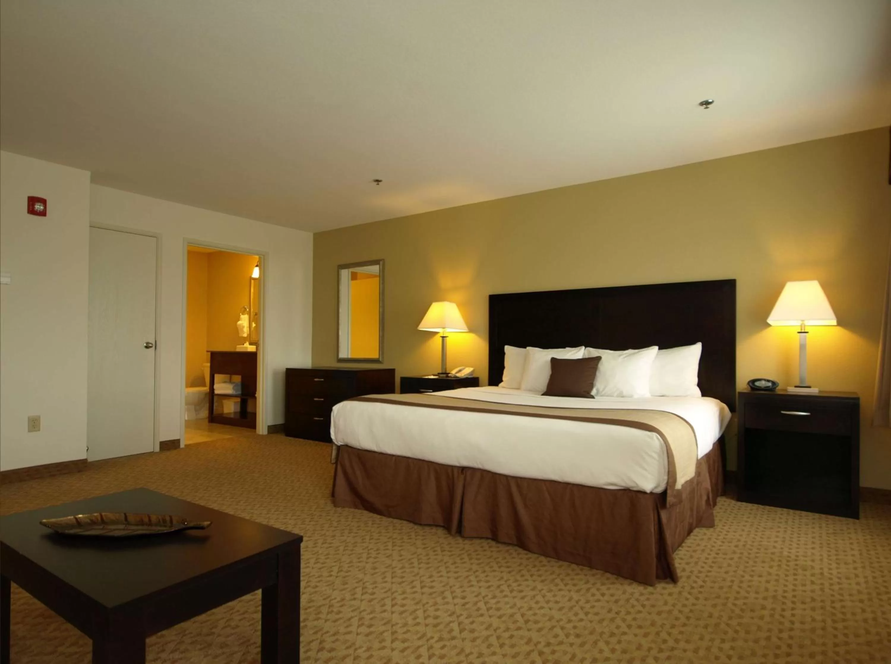 Standard King Room in Best Western Plus Valdosta Hotel & Suites