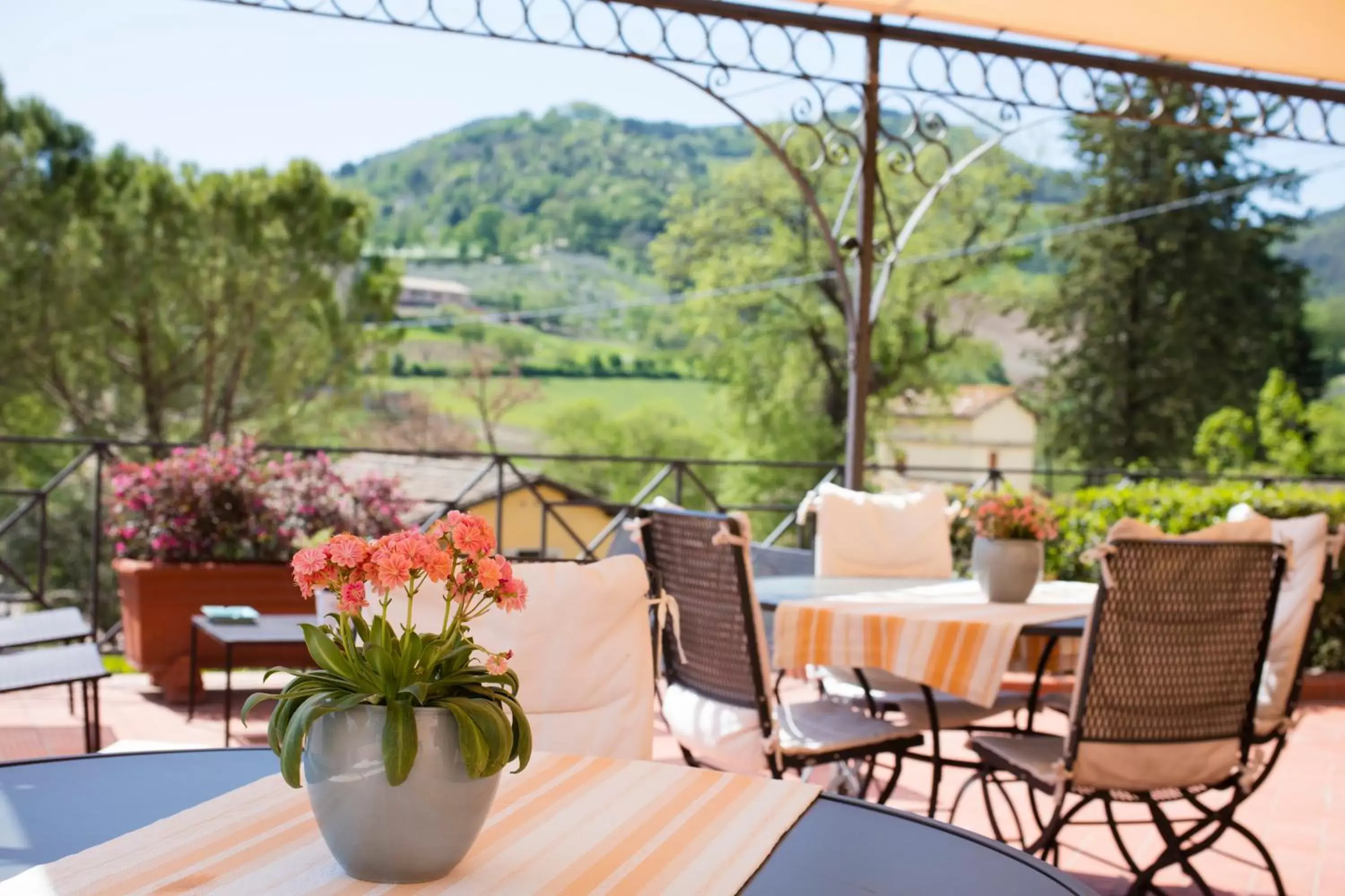 Balcony/Terrace in Albergo Villa Cristina