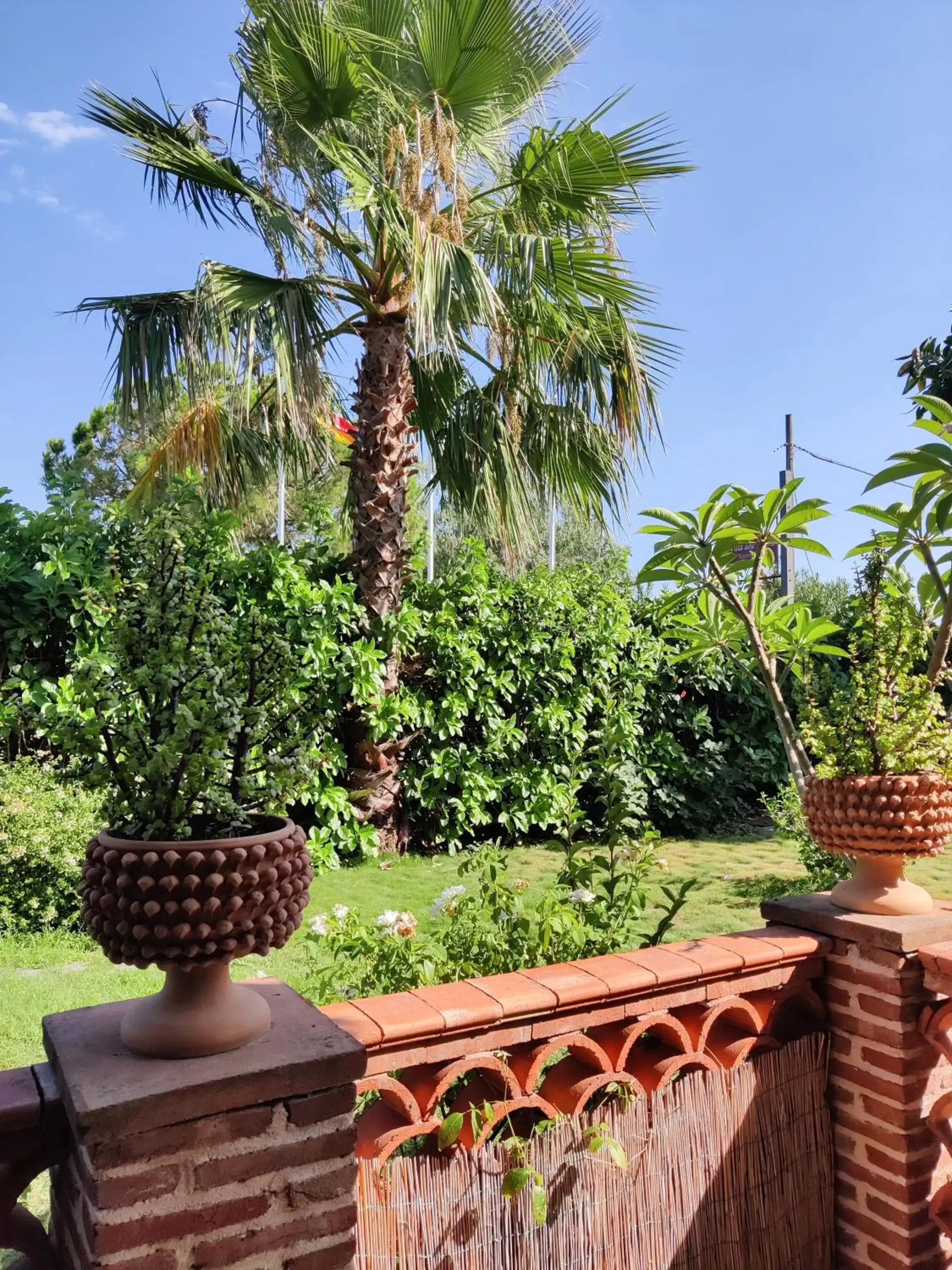 Garden in Villa delle Palme