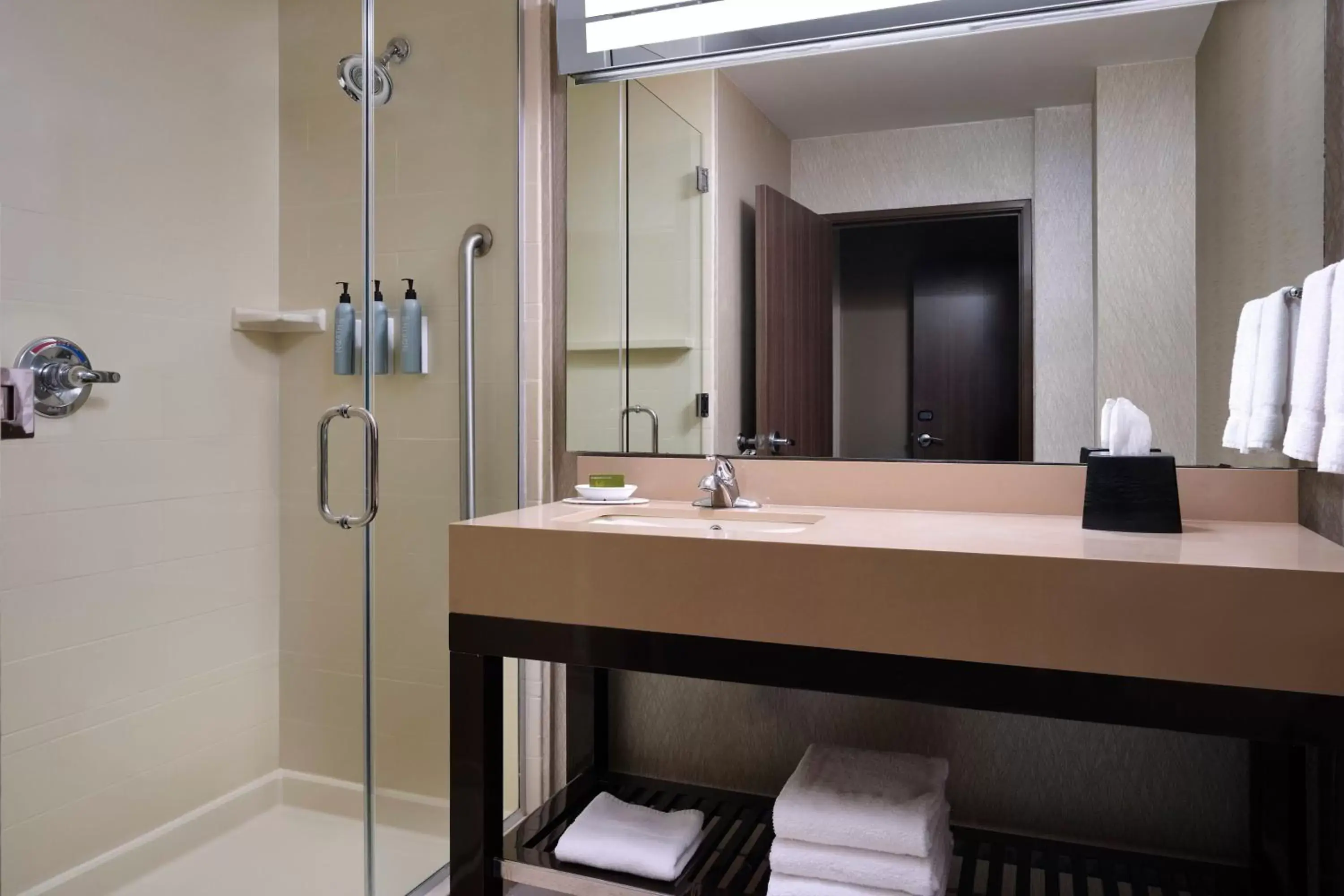 Bathroom in Courtyard by Marriott Dallas DFW Airport North/Grapevine