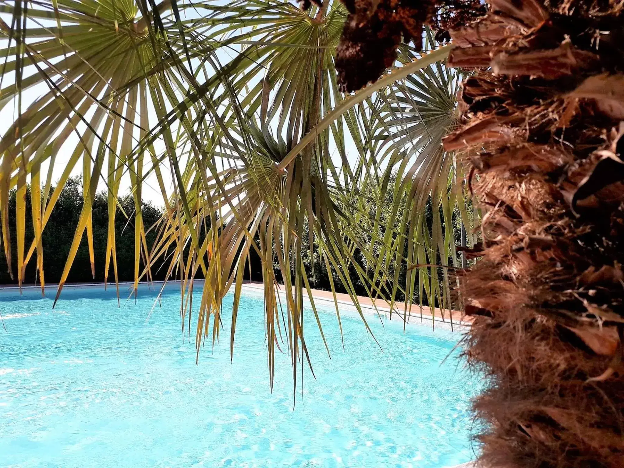 Swimming Pool in Villa Curina Resort