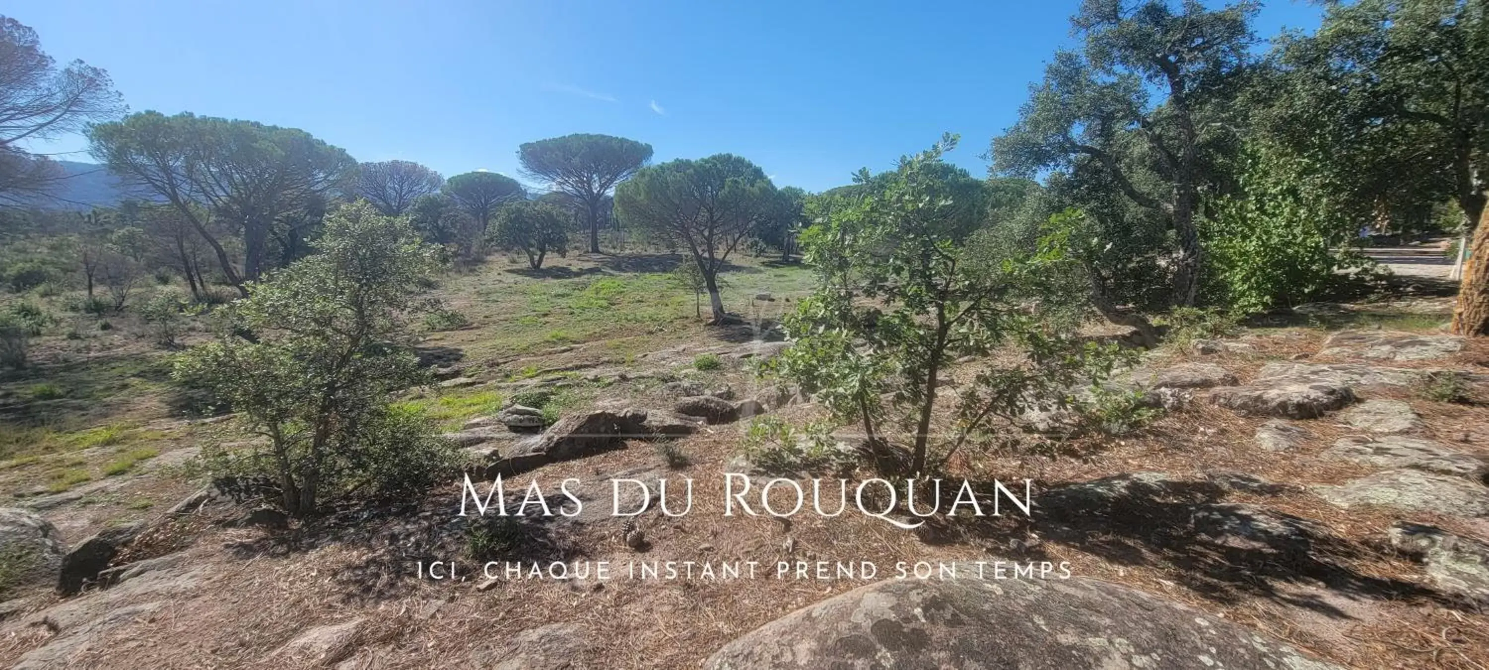 Natural landscape in Le Mas du Rouquan