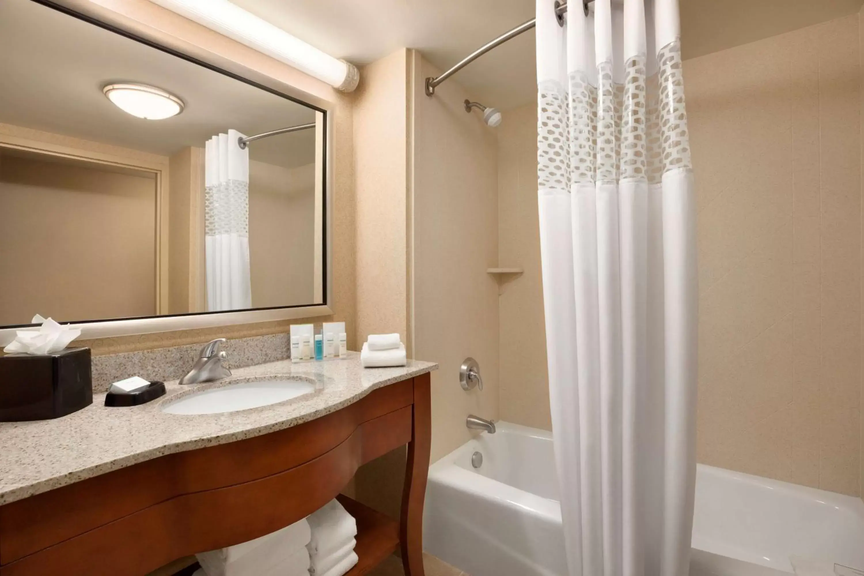 Bathroom in Hampton Inn & Suites East Hartford