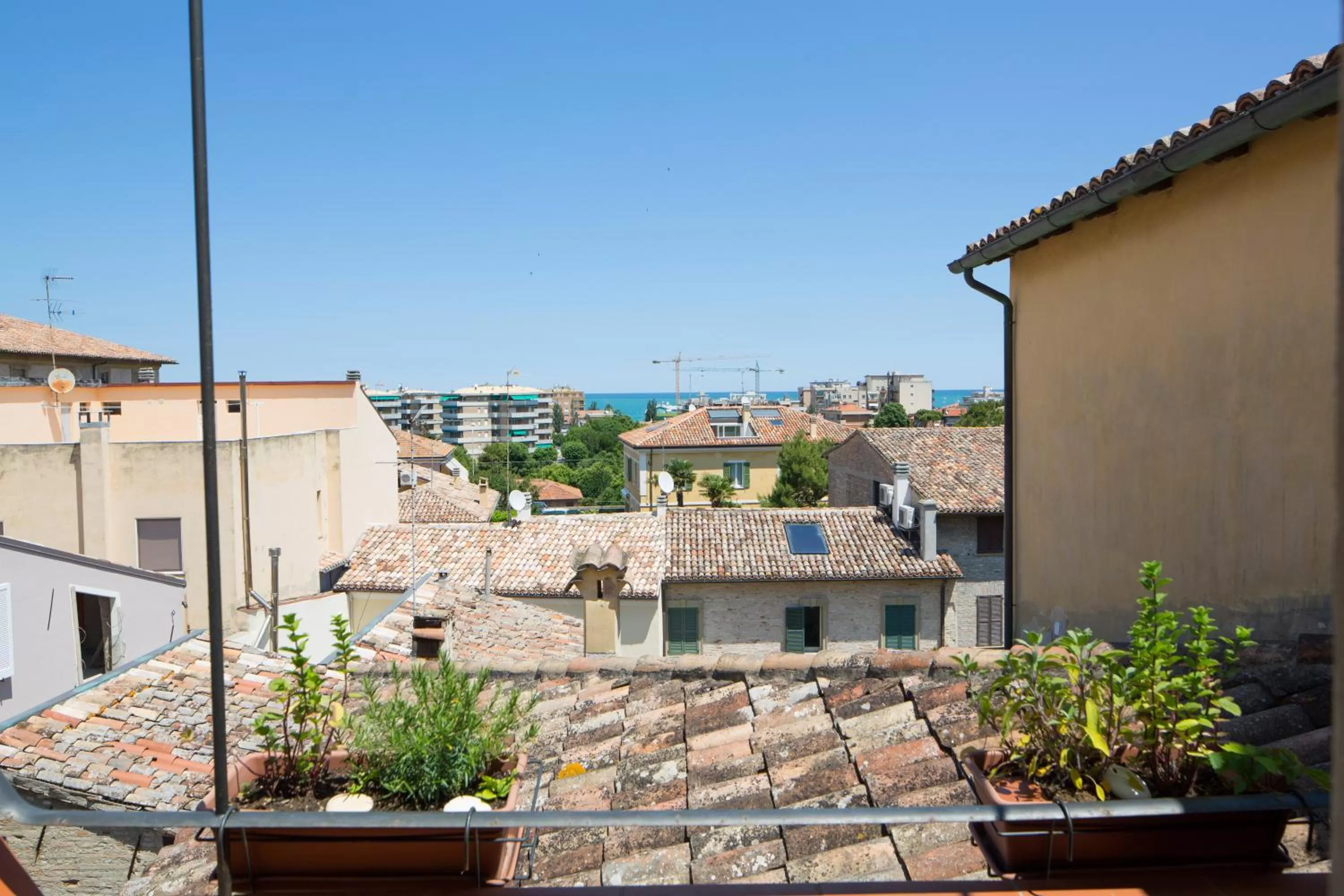 Day in Palazzo Rotati