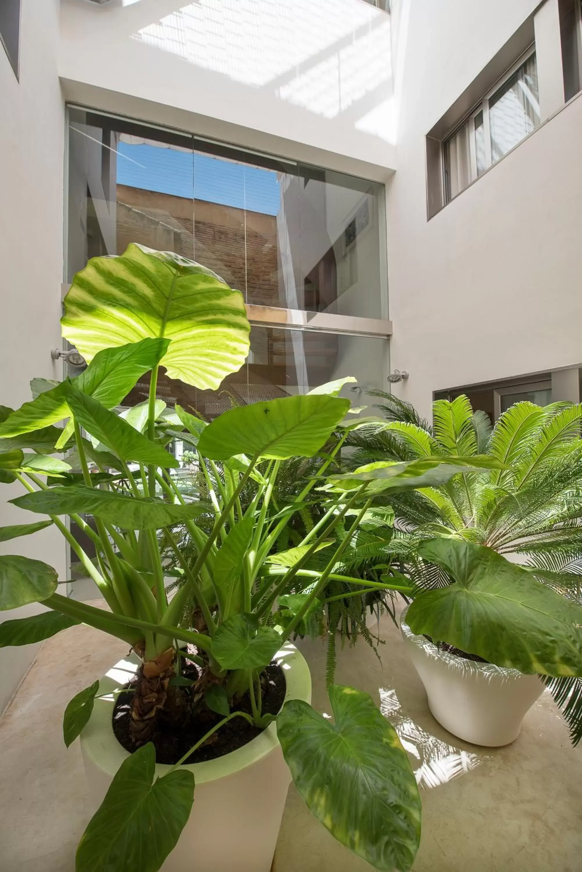 Patio, Property Building in La Alcoba del Agua hotel boutique