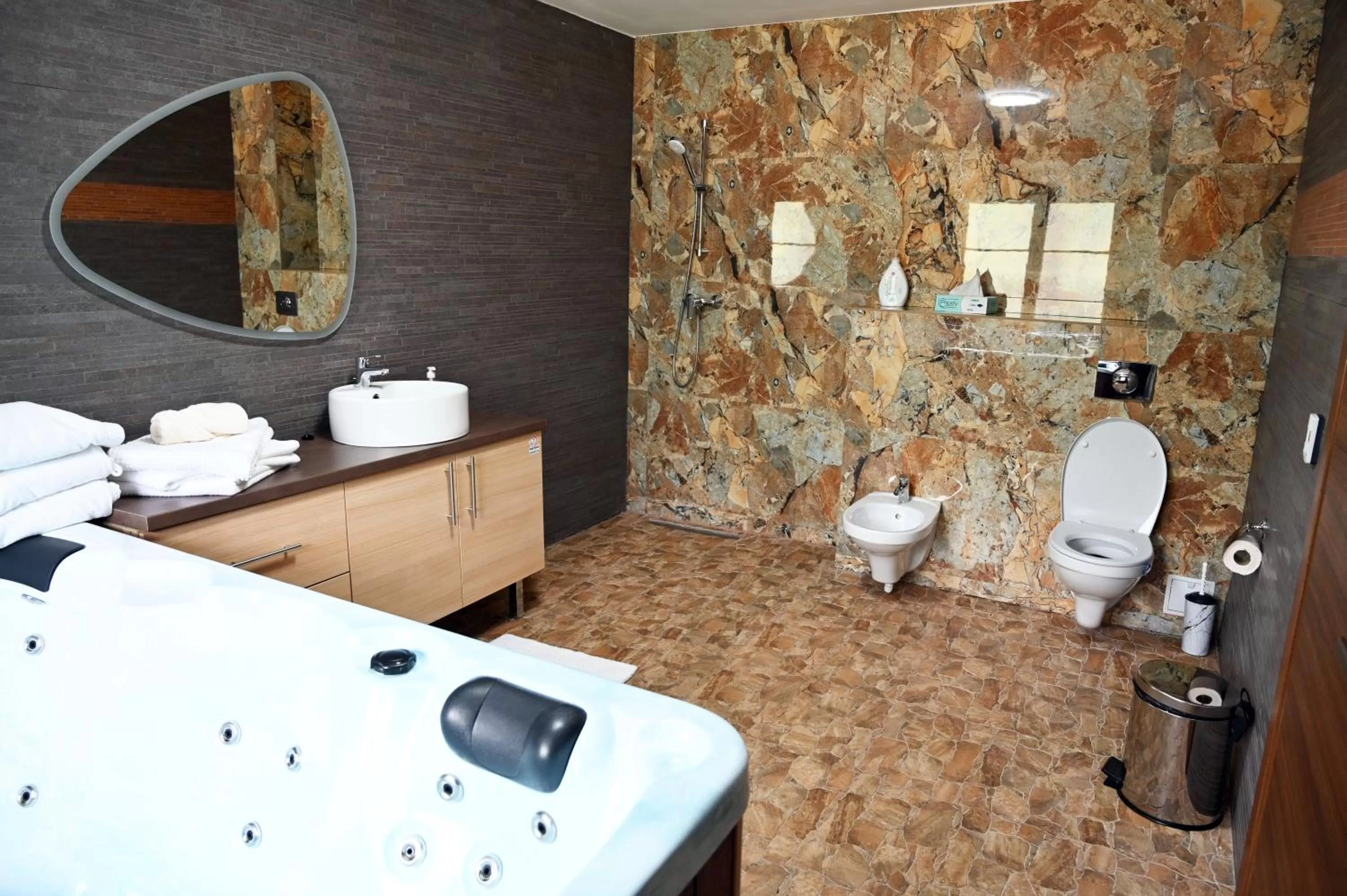 Toilet in Conacul Radacinilor