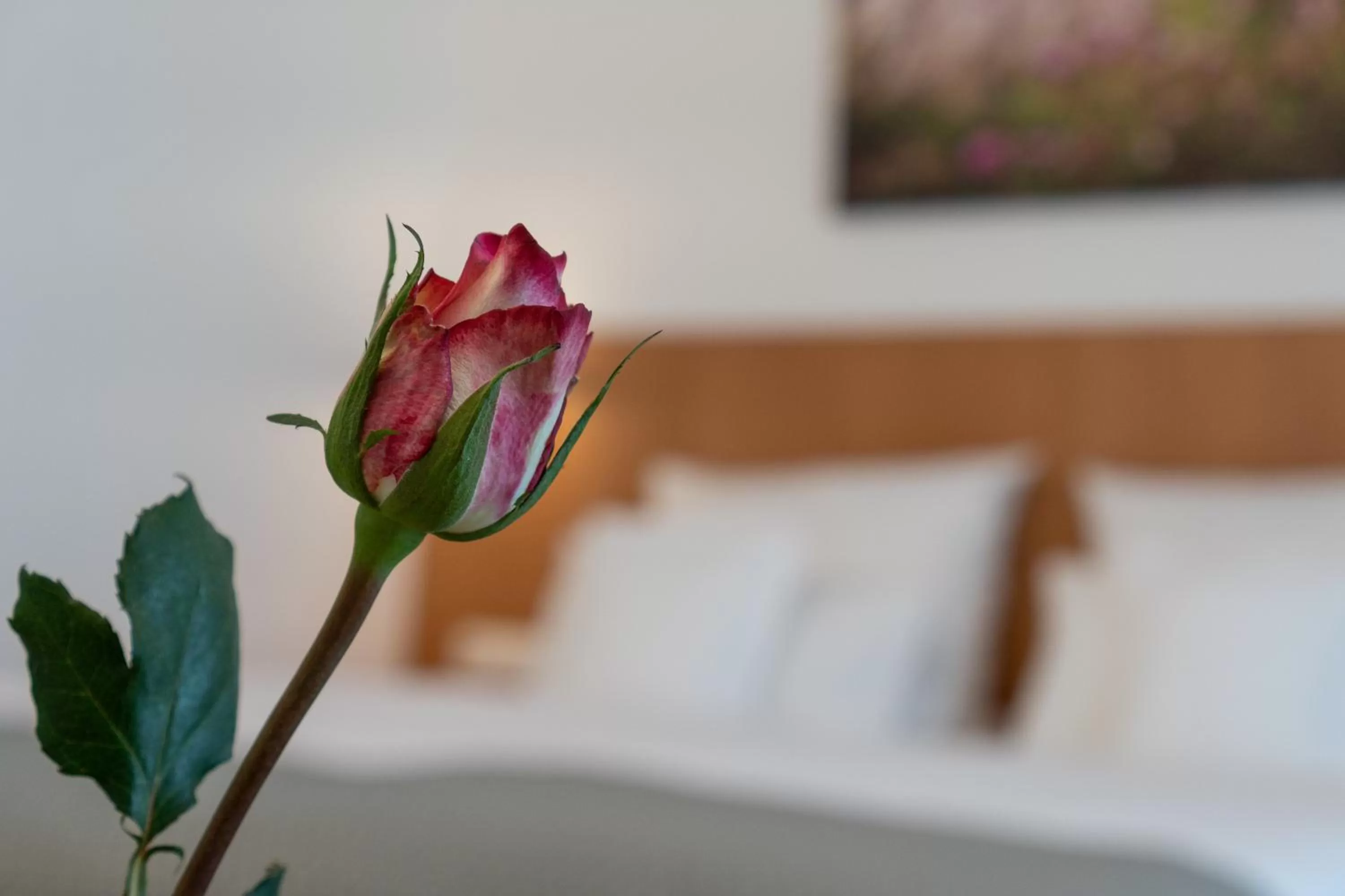 Staff, Bed in Hotel Elysee