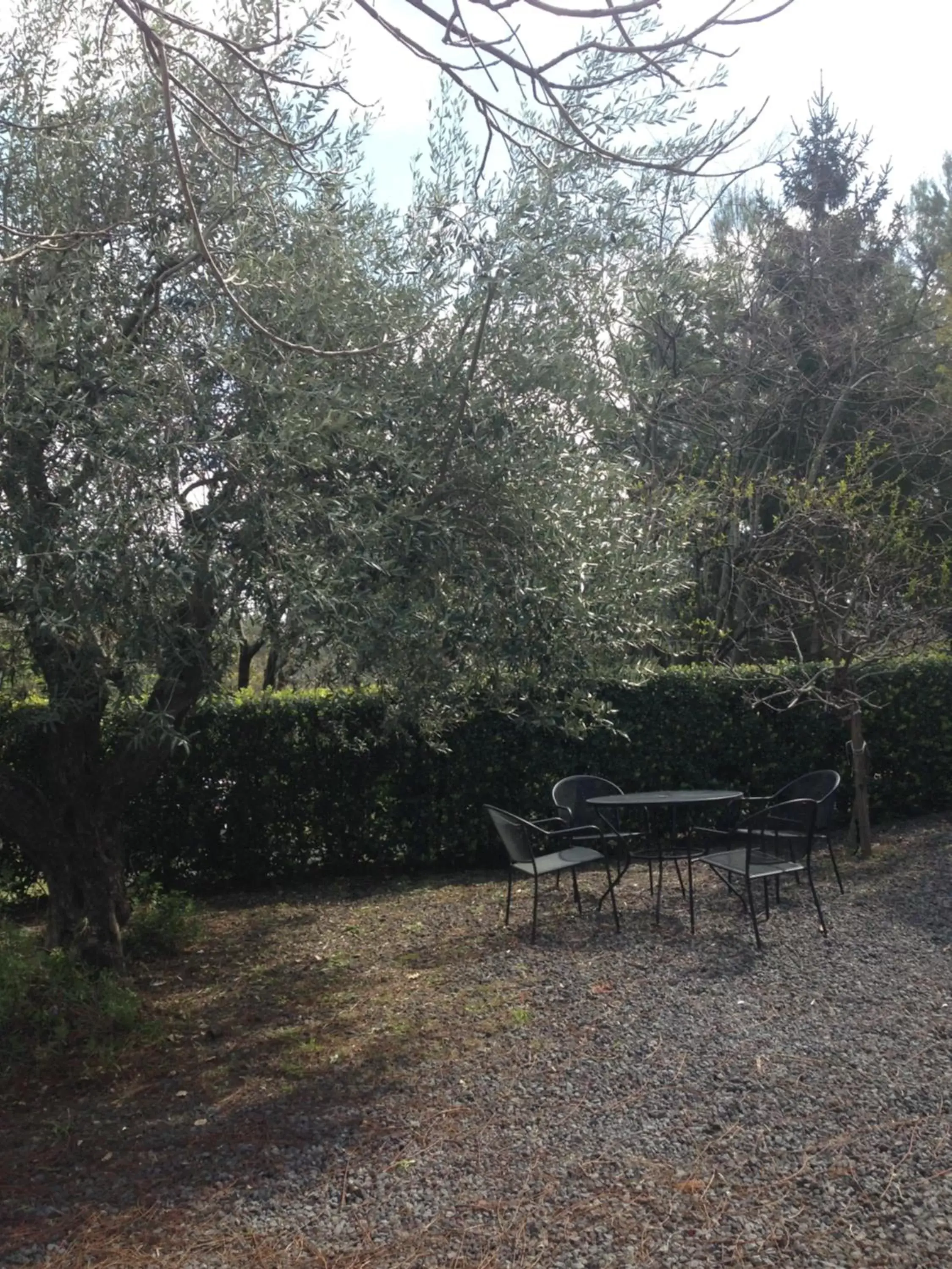 Garden in Bed and Breakfast Il Glicine