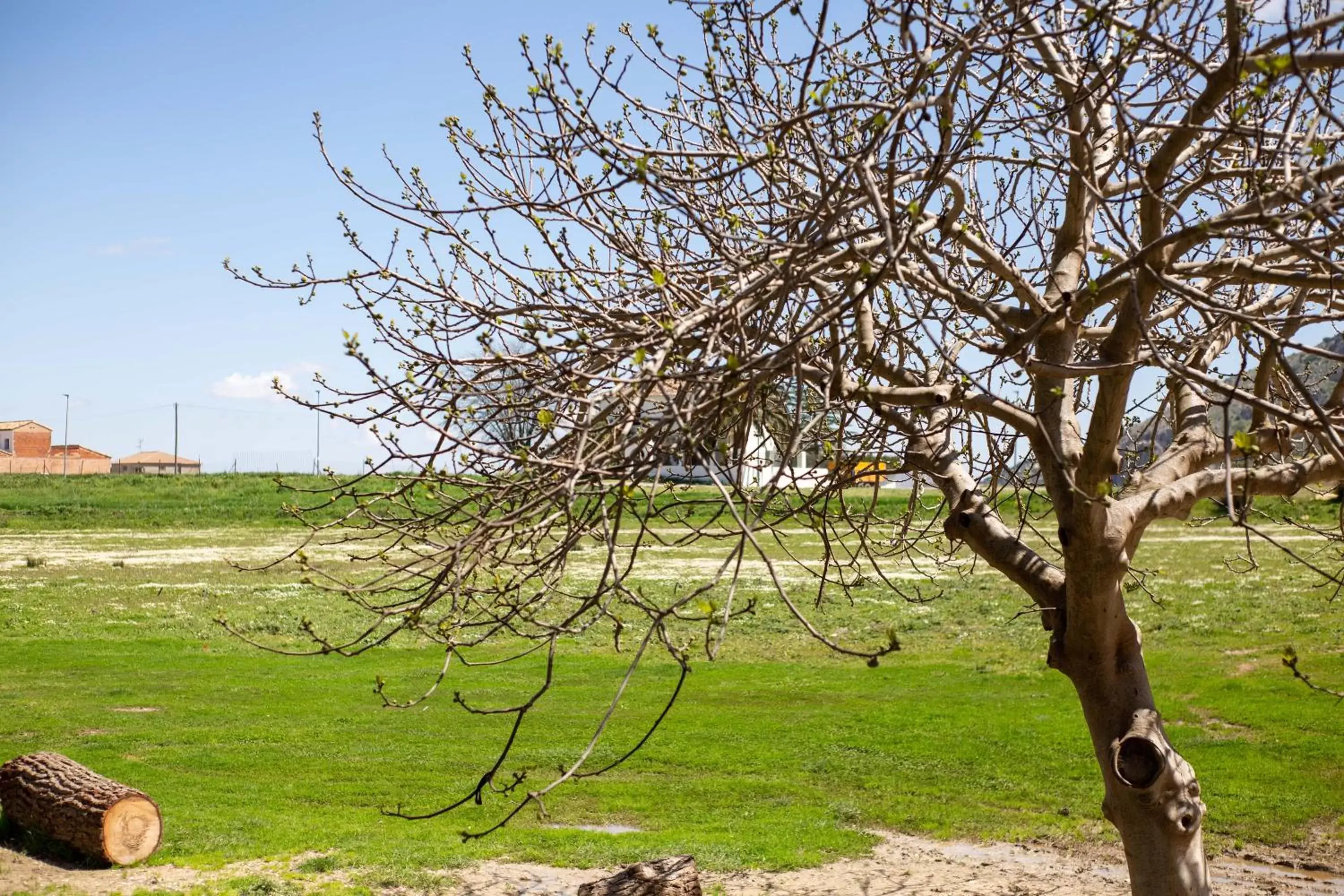 Natural landscape in Hotel Rural El Castillejo