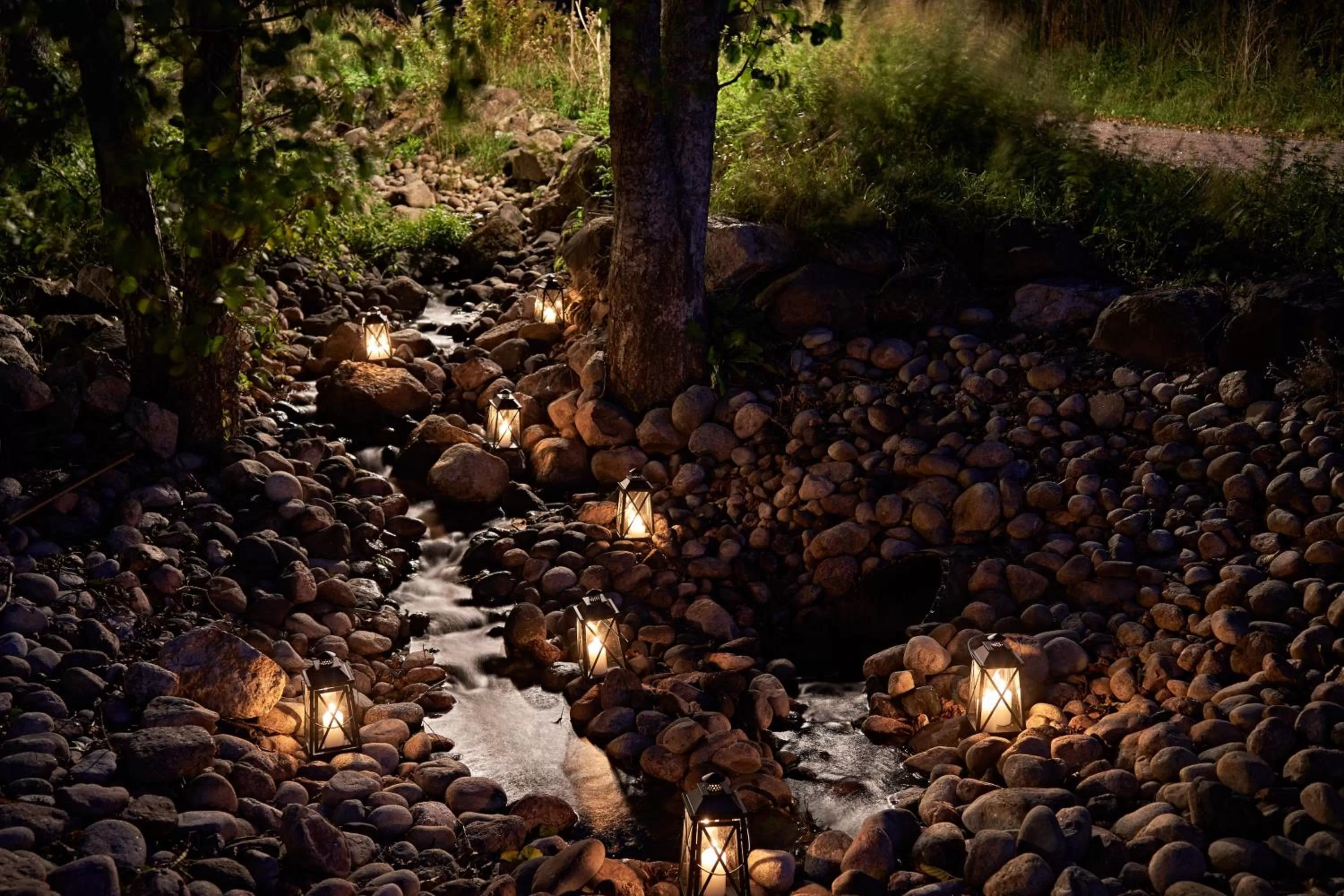 Garden in Hotel Villa Molnby