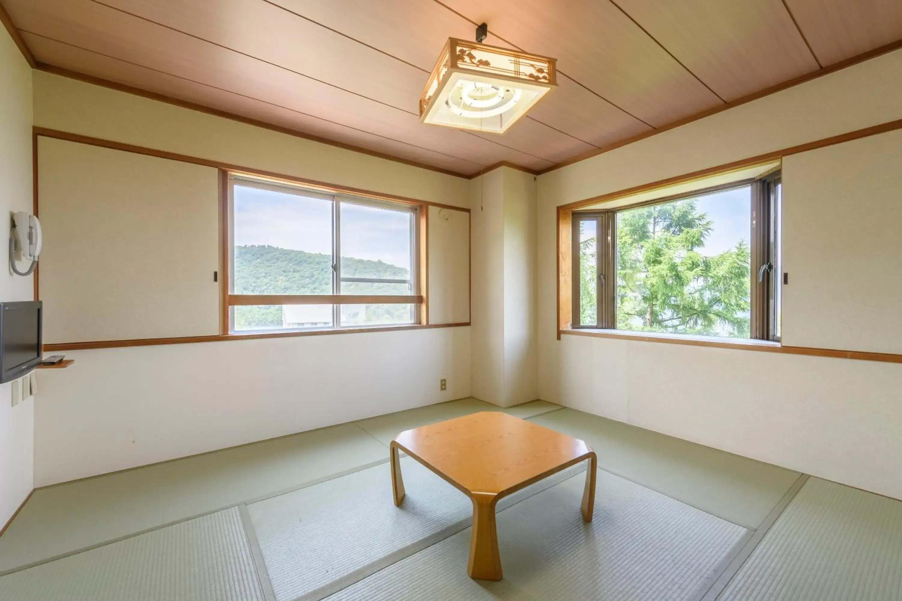 Photo of the whole room, Seating Area in Hotel Tagawa