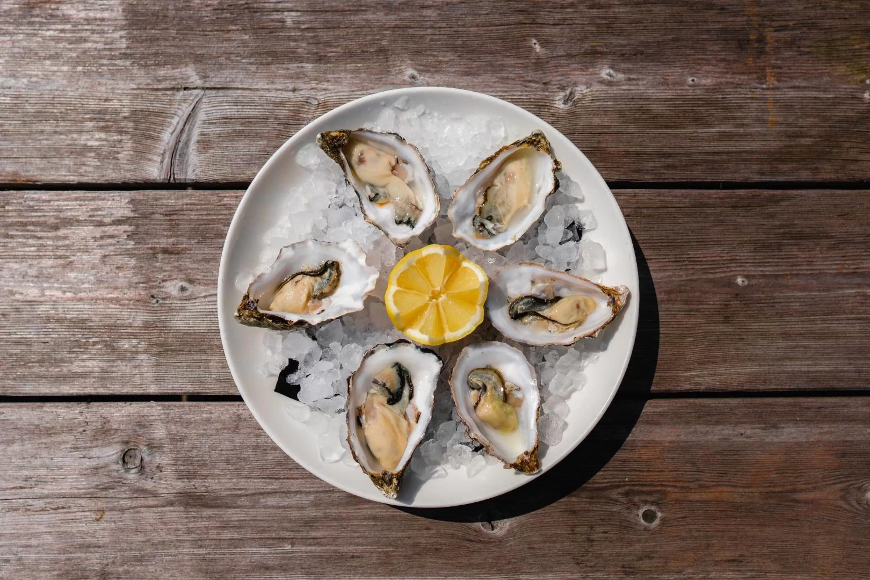 Restaurant/places to eat in Hotel Brasserie Den Engel