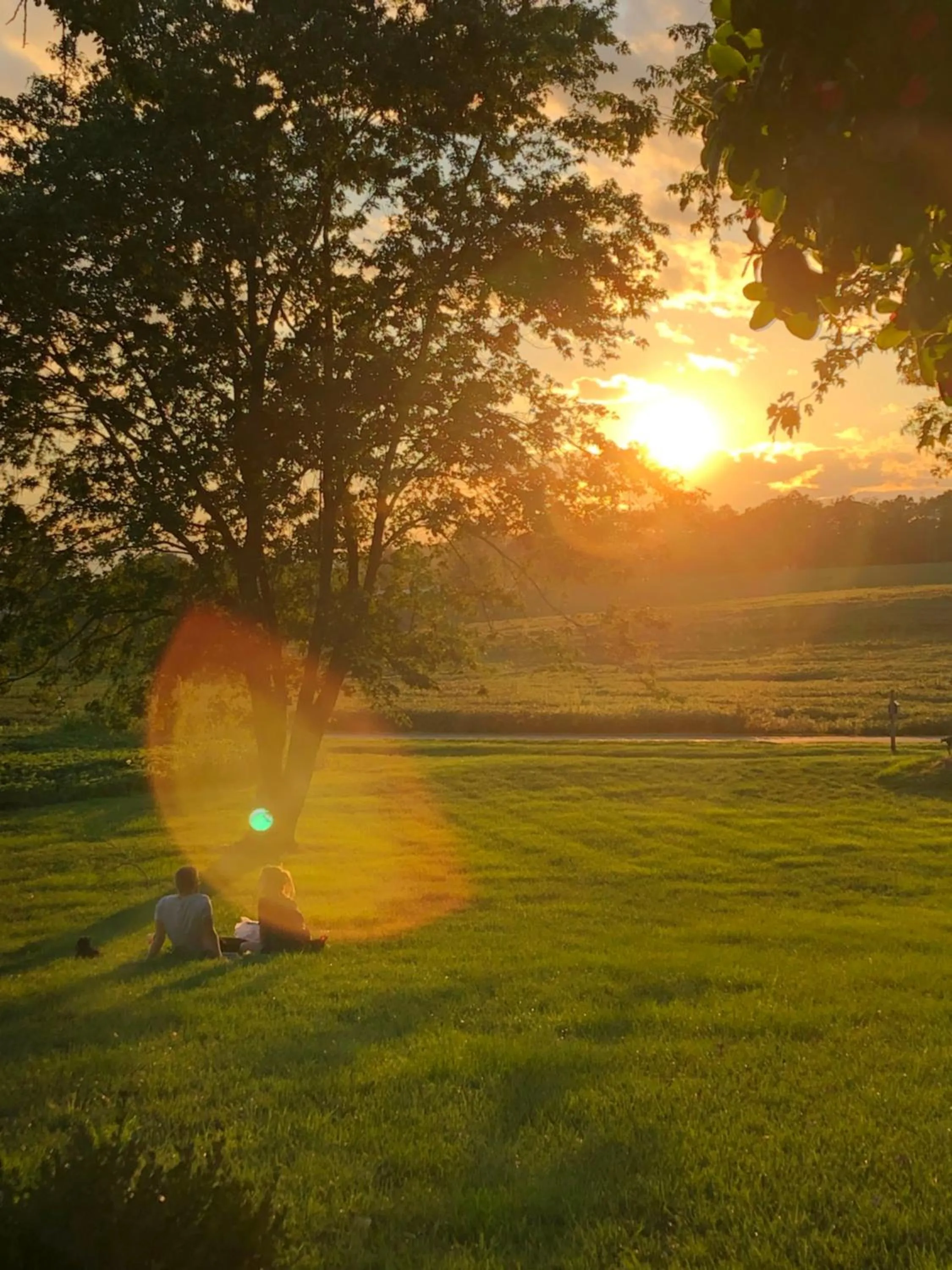 Natural landscape, Sunrise/Sunset in Silver Lake Bed and Breakfast