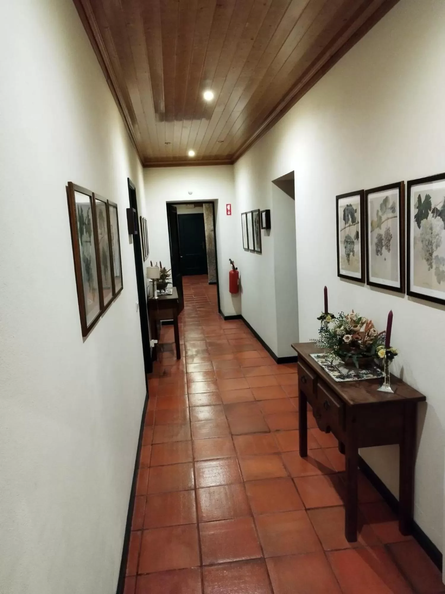 Night in Casa de Santa Ana da Beira