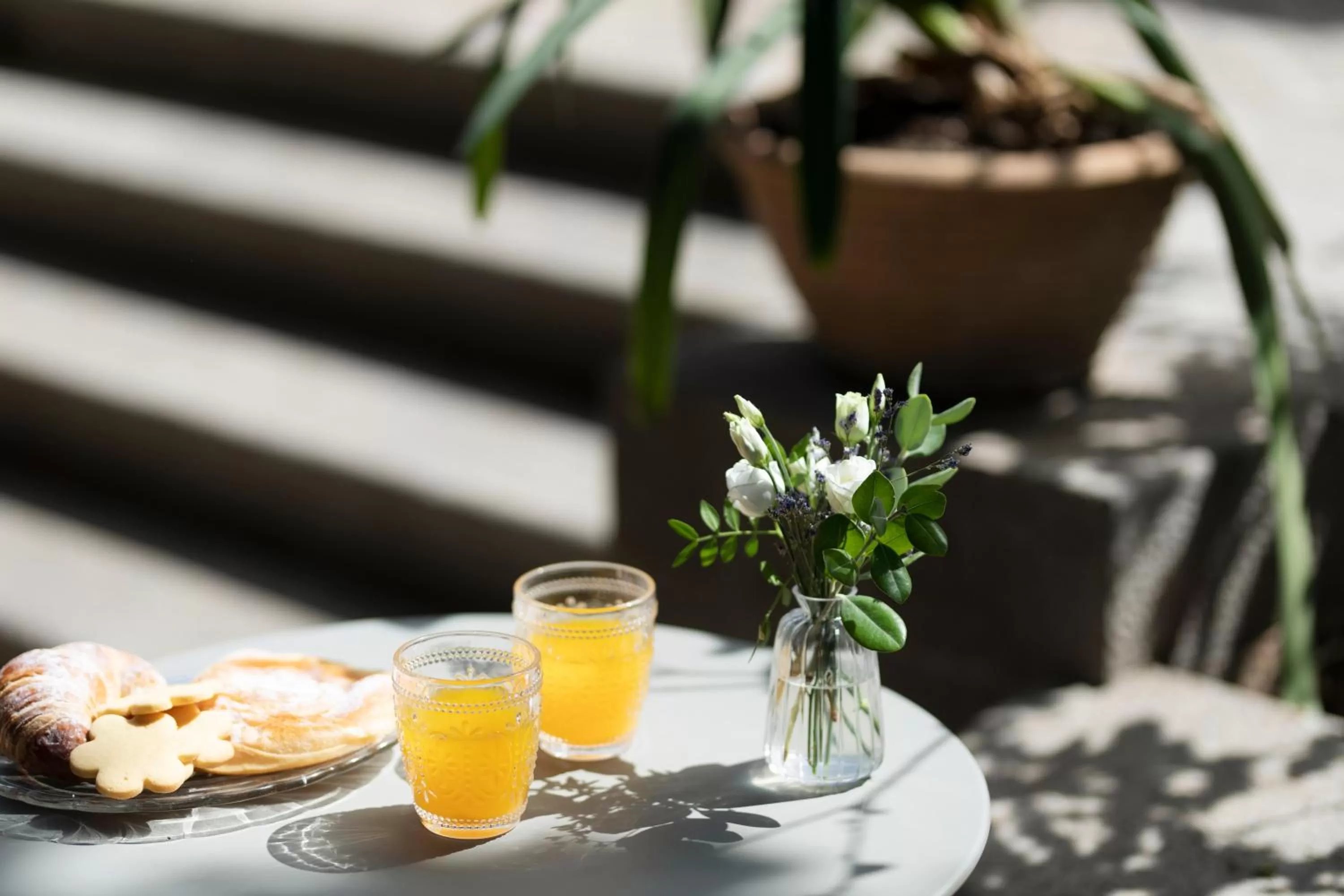 Garden in Ca'n Puig de Sòller