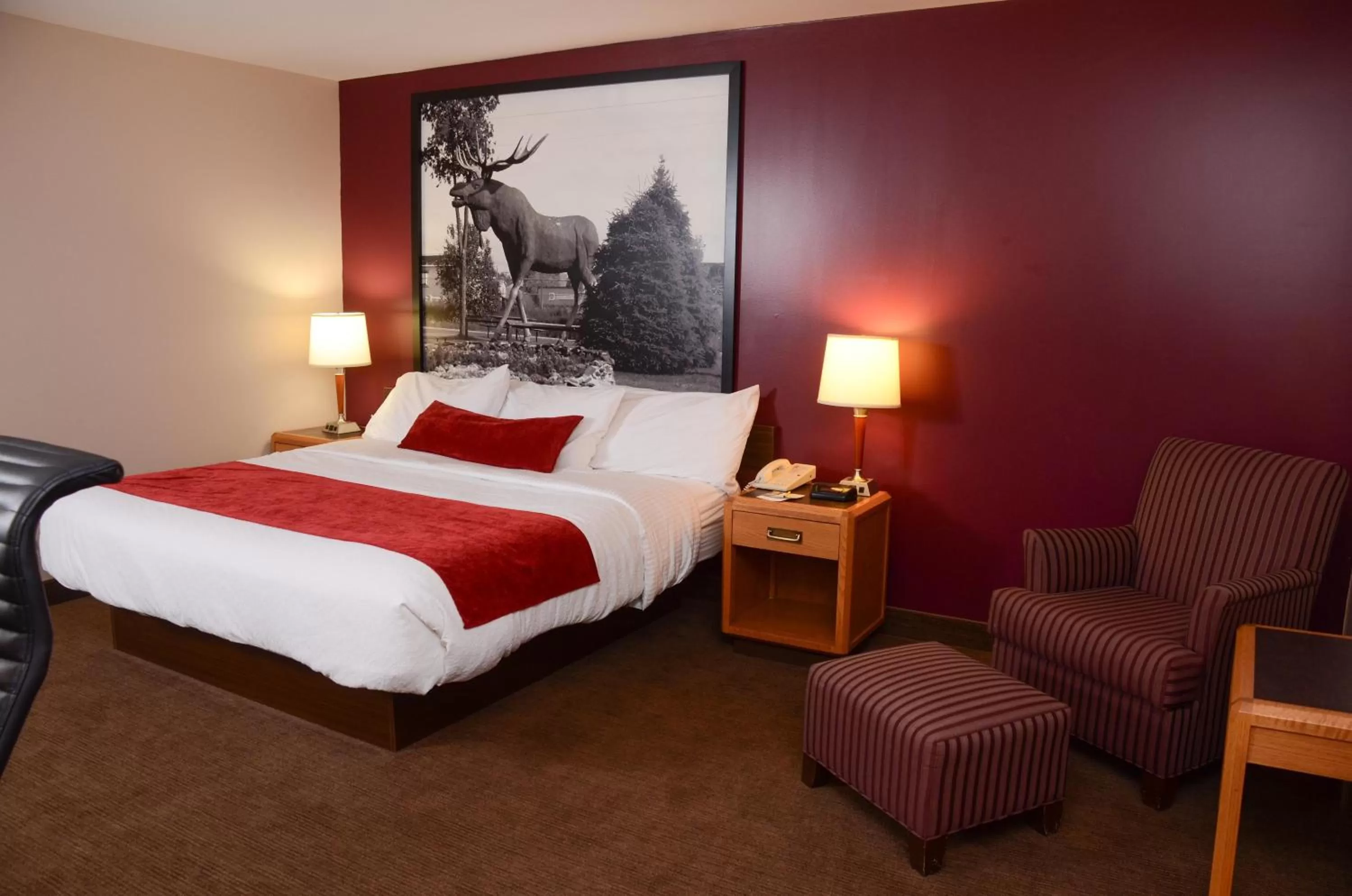 Bedroom, Bed in Super 8 by Wyndham North Bay