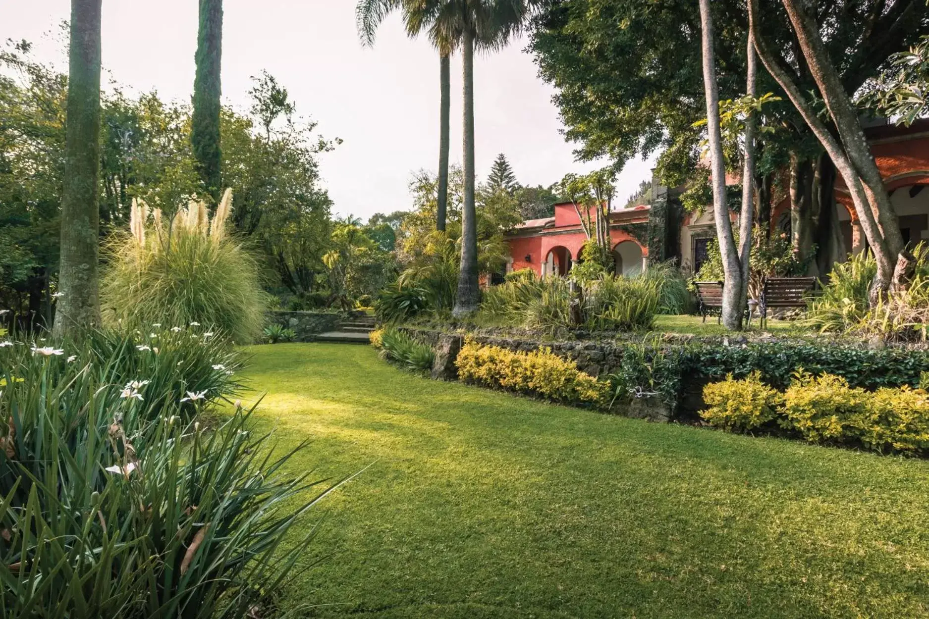 Garden in Hotel Racquet Cuernavaca