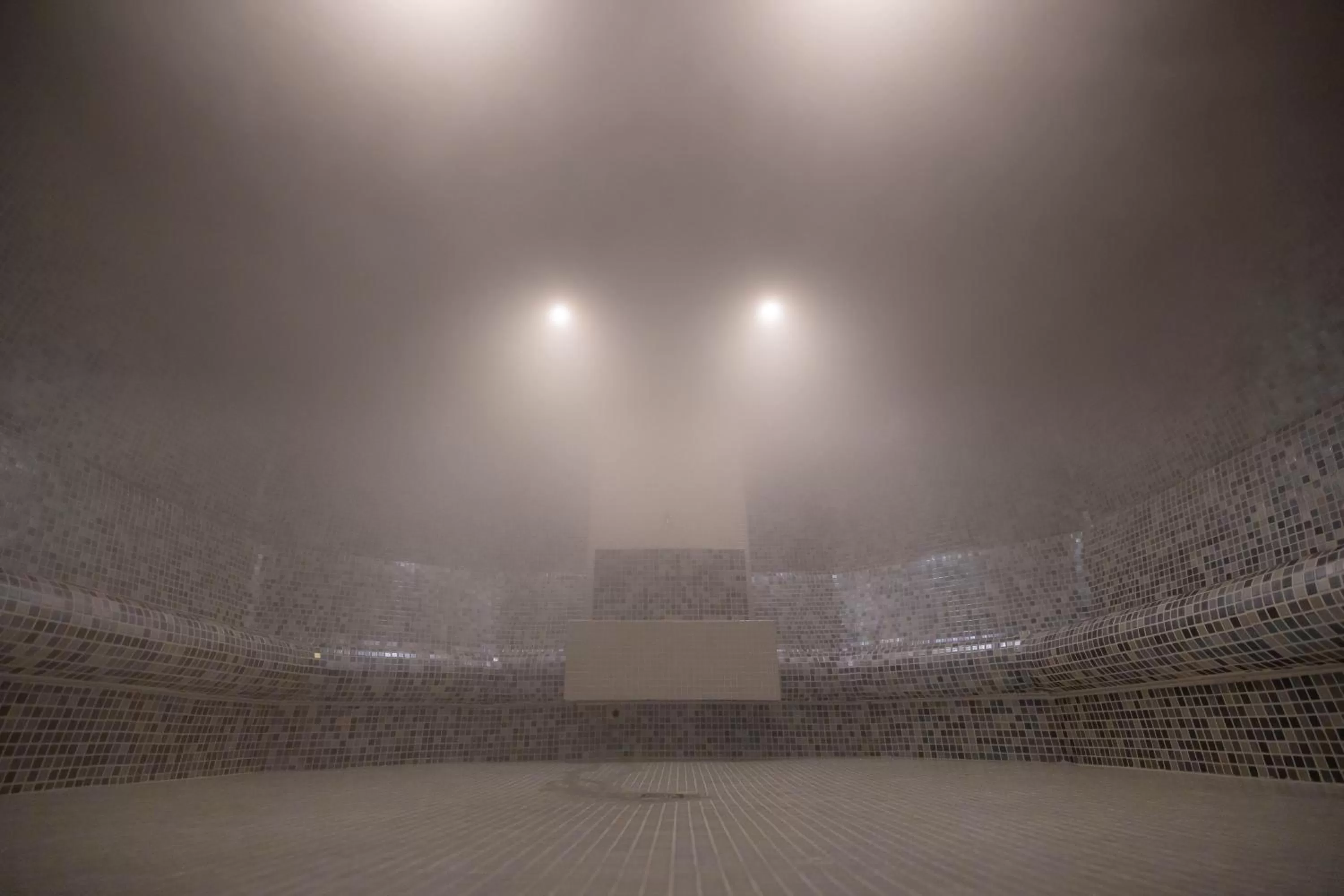 Spa and wellness centre/facilities, Swimming Pool in Hotel Belmont