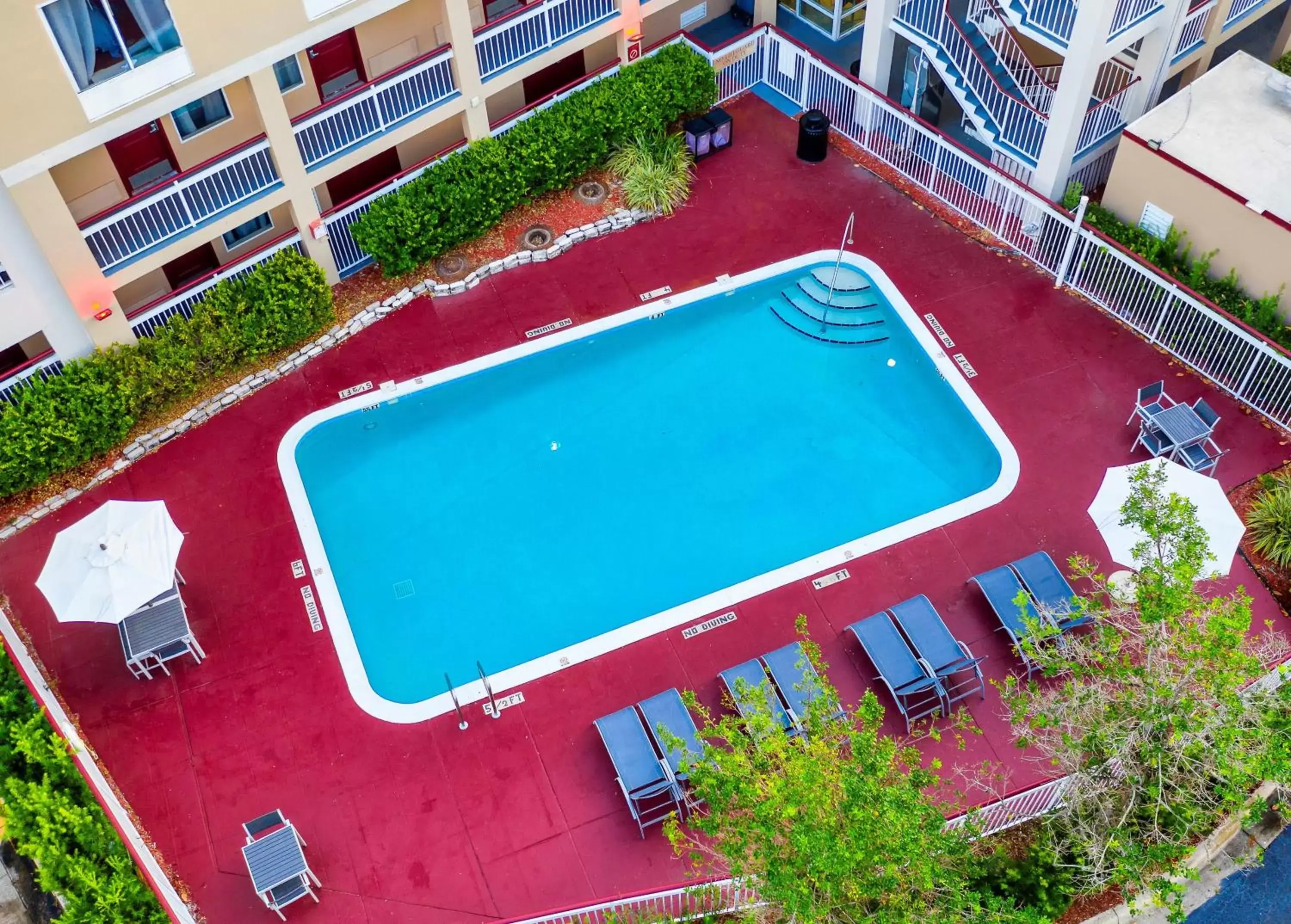 Swimming pool, Pool View in Red Roof Inn PLUS Orlando-Convention Center- Int'l Dr