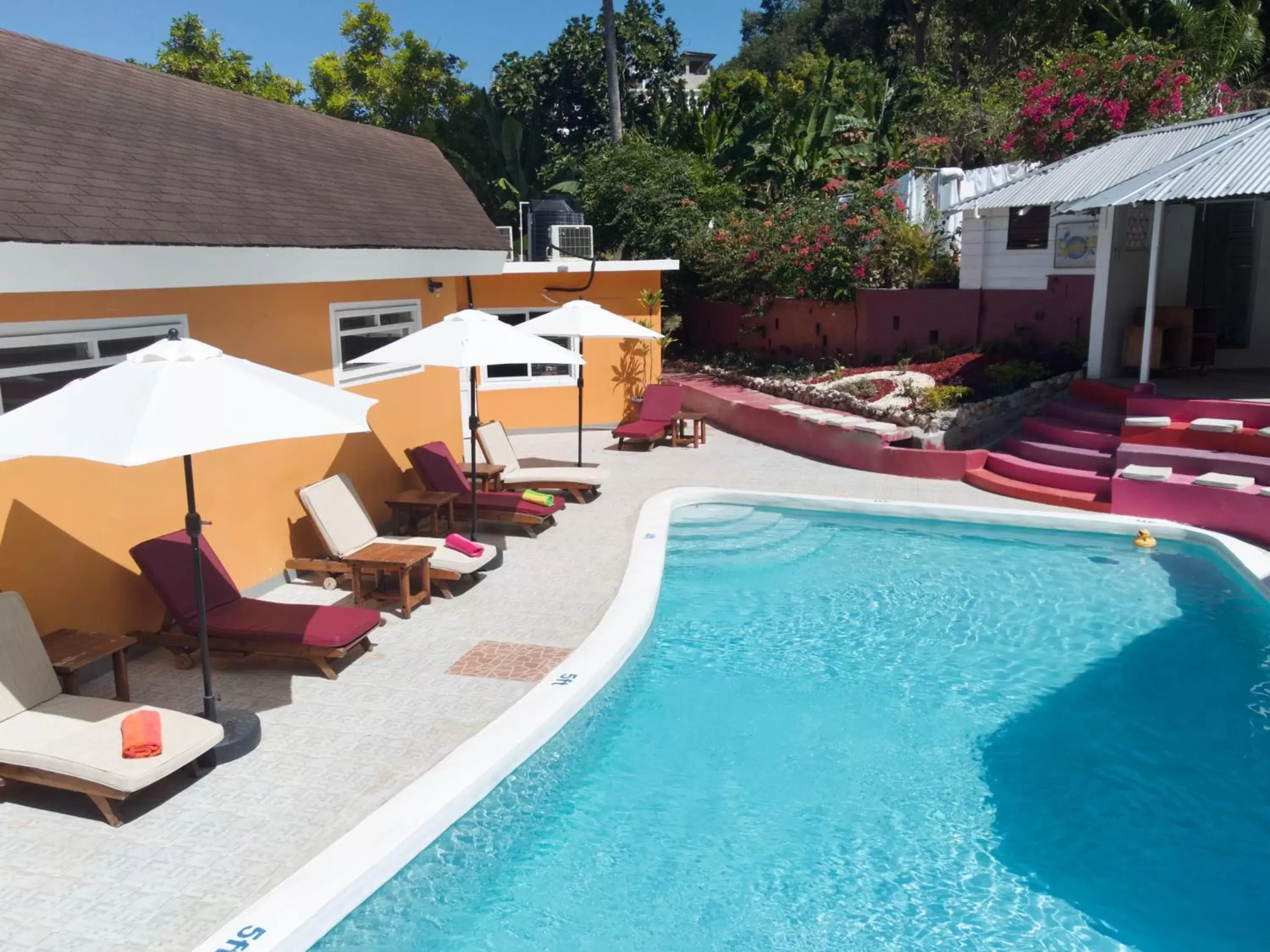 Swimming Pool in The Blue Orchid B&B