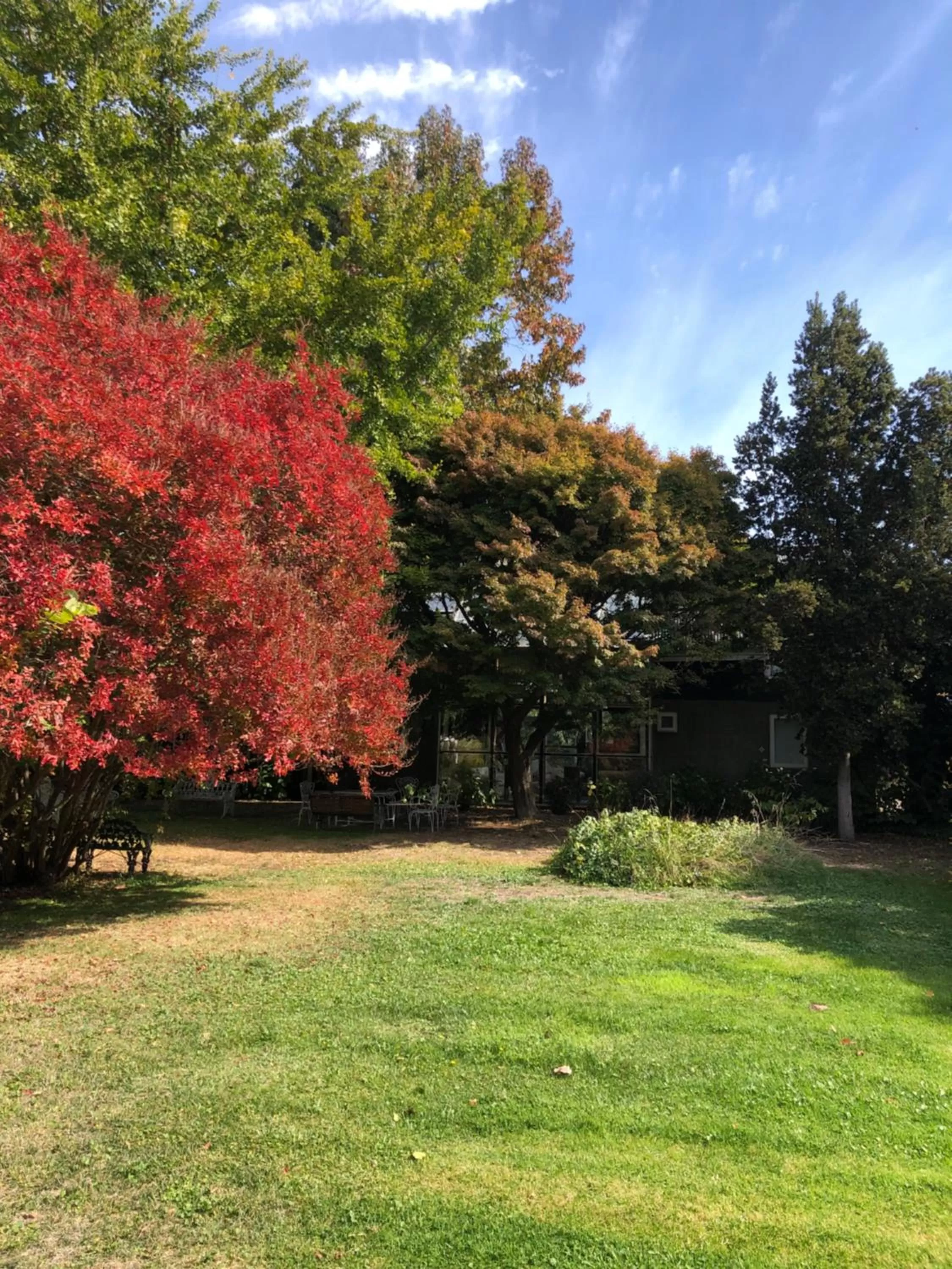 Garden in Family Orchard Bed & Breakfast