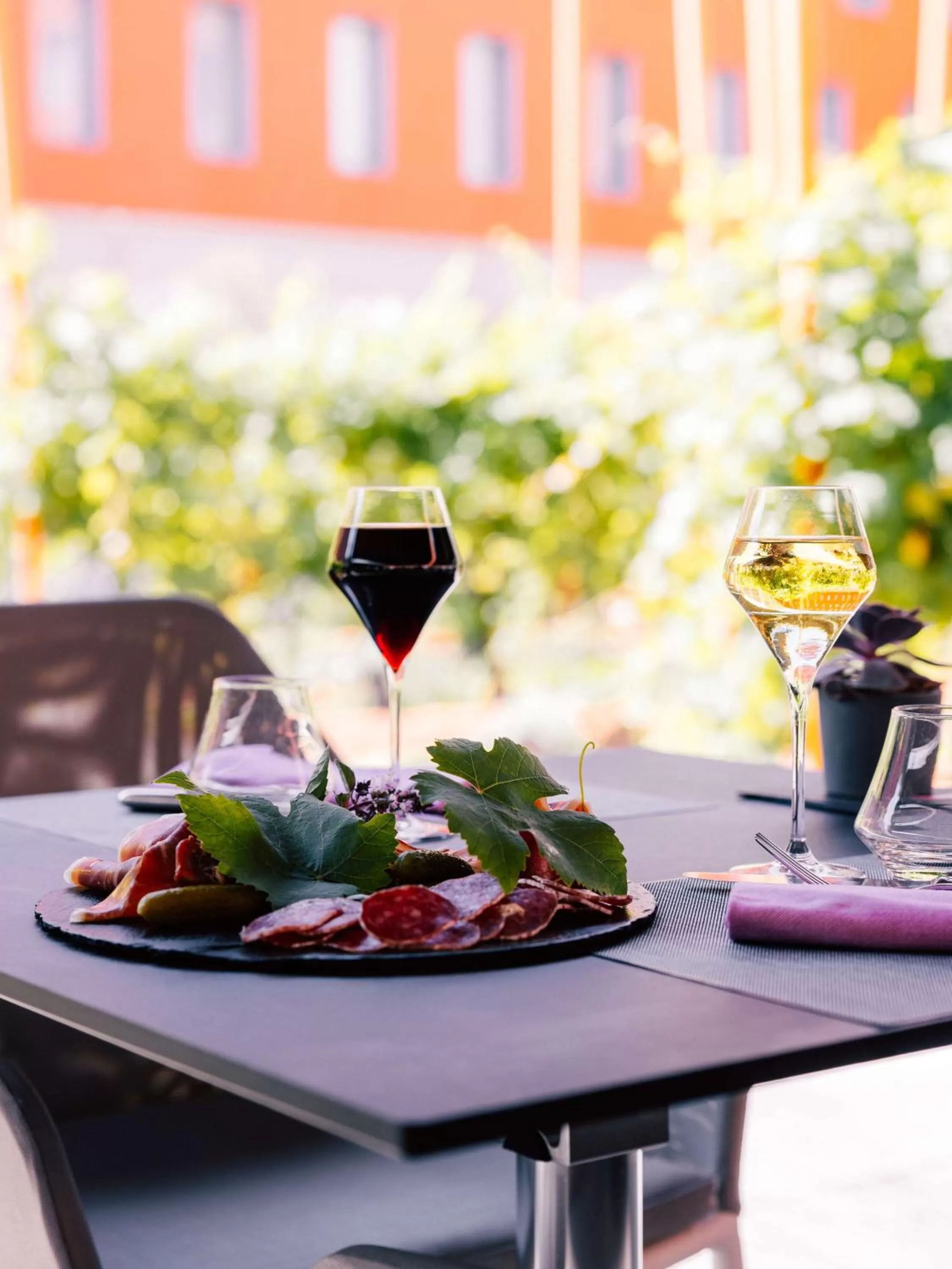 Restaurant/places to eat in Radisson Blu Hotel Toulouse Airport