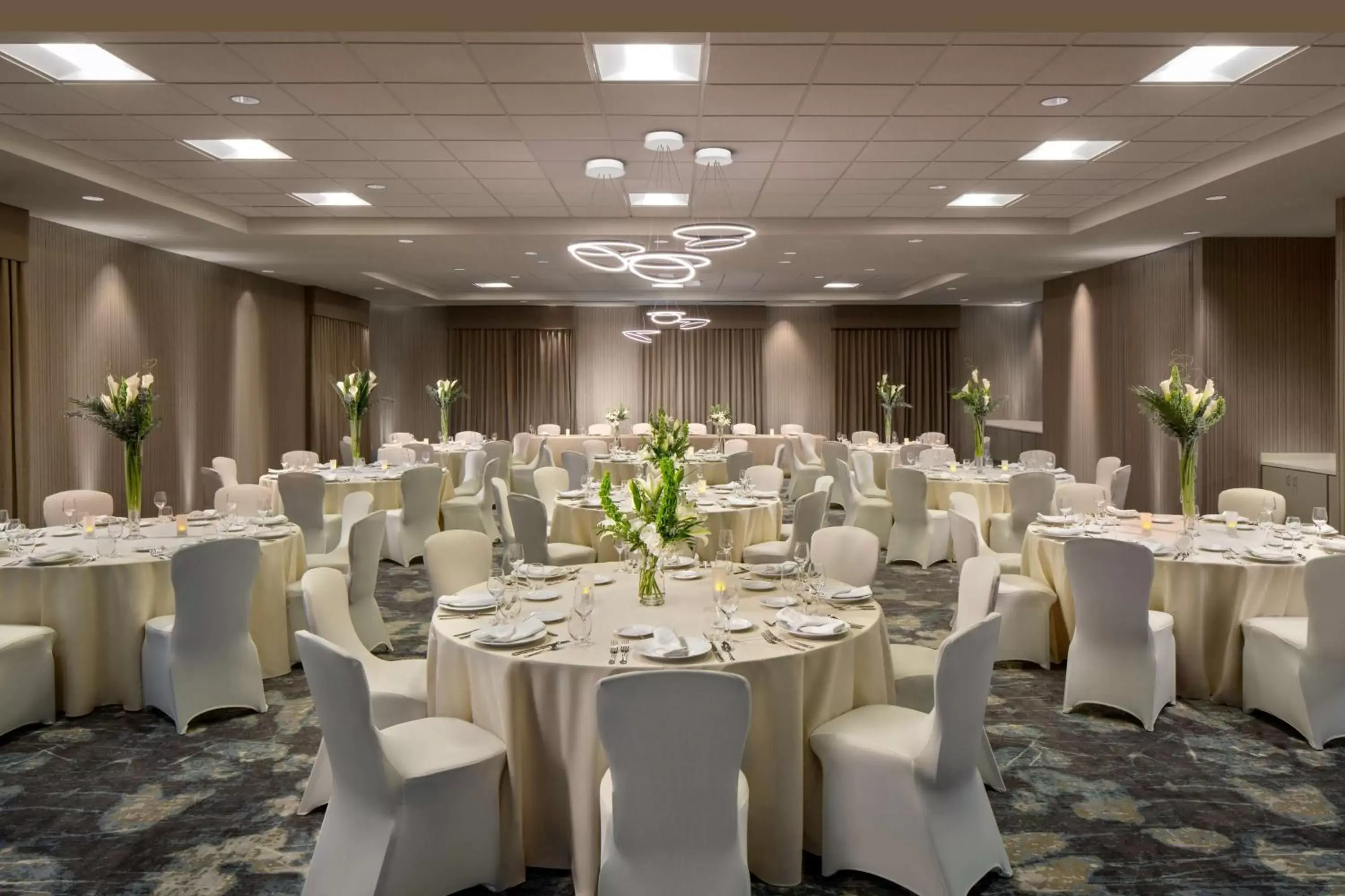 Meeting/conference room, Banquet Facilities in Hilton Garden Inn Lubbock