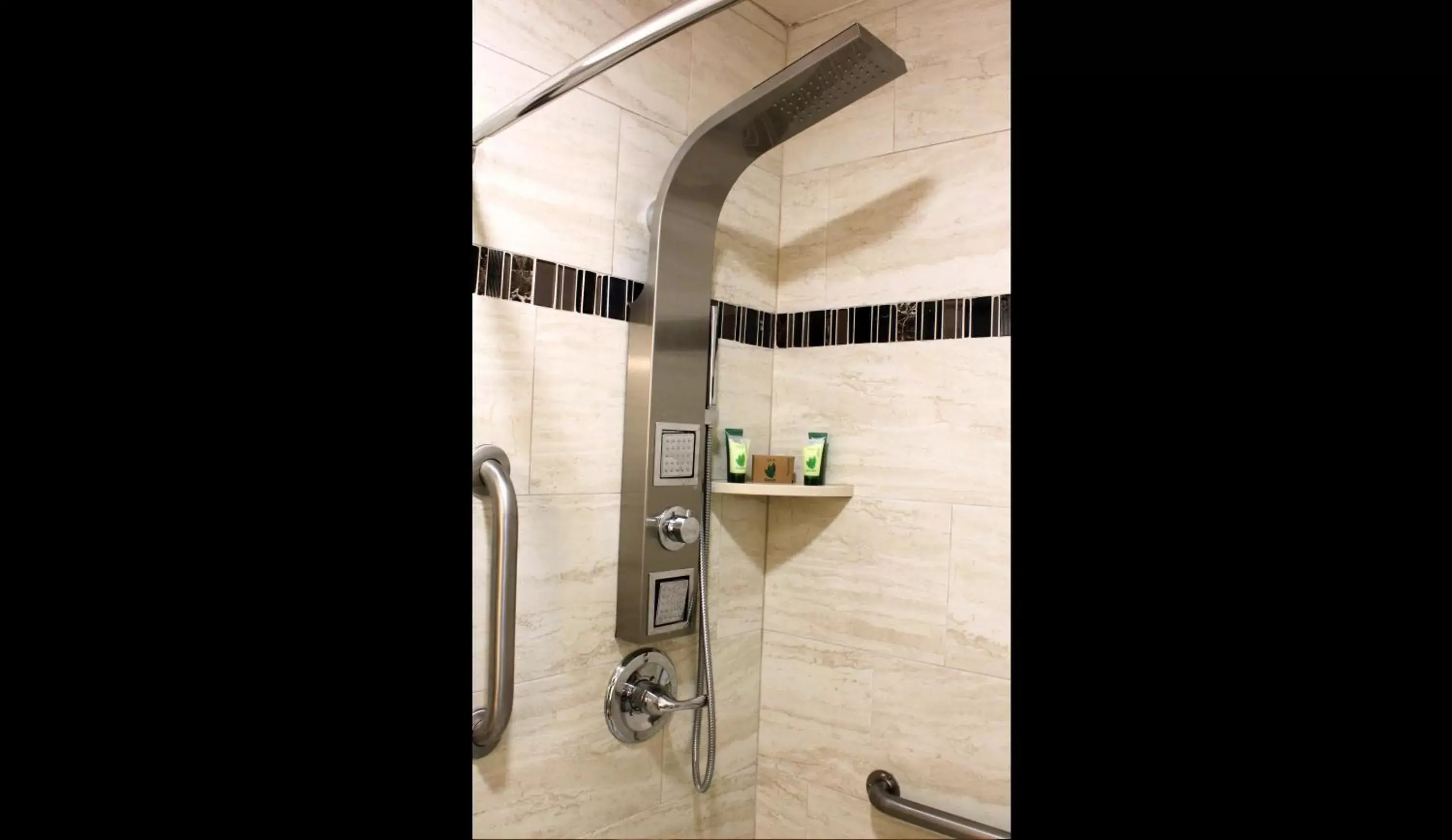 Shower, Bathroom in Lombard Plaza Motel