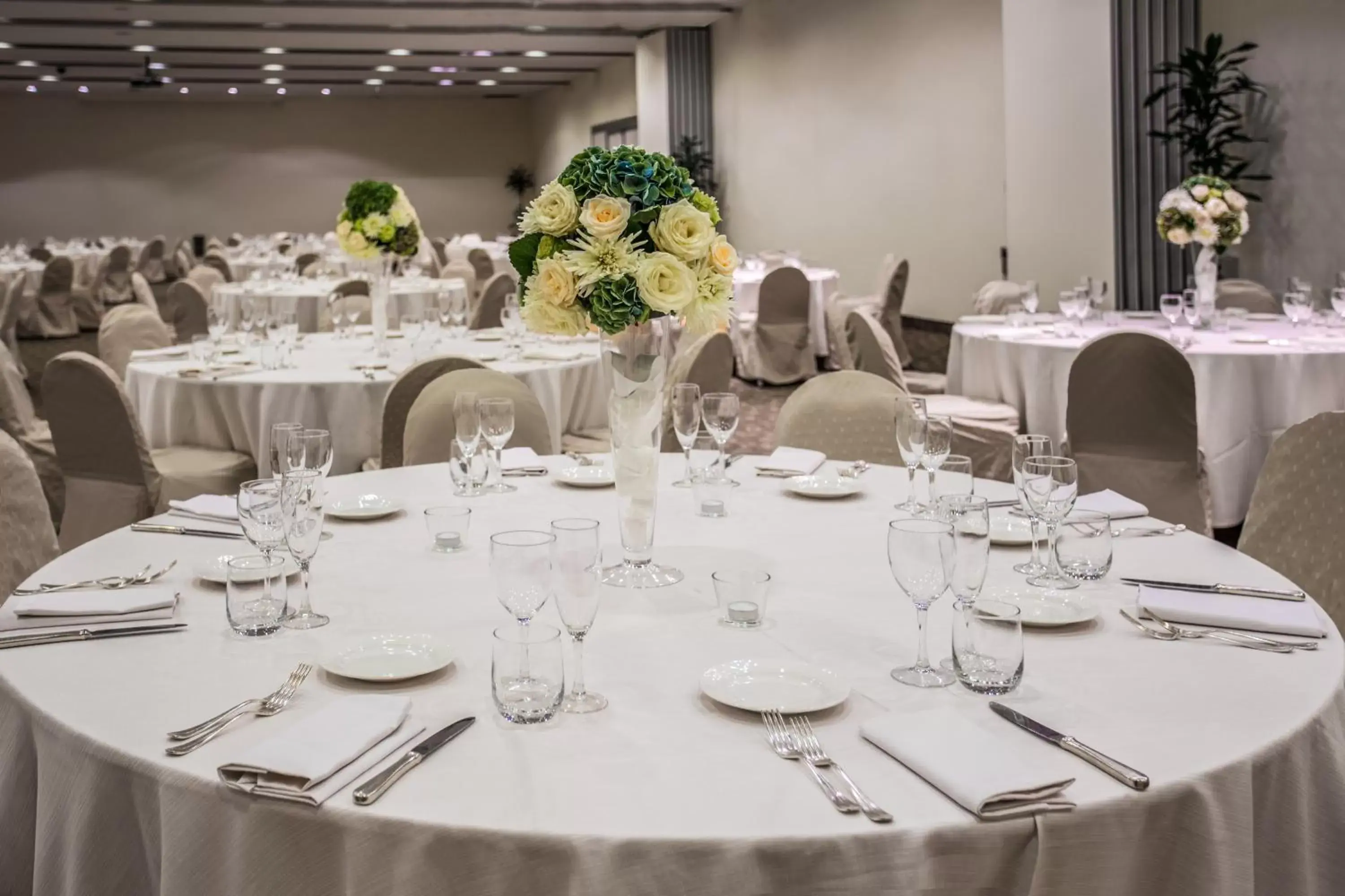 Banquet/Function facilities, Restaurant/Places to Eat in Crowne Plaza Rome St. Peter's, an IHG Hotel