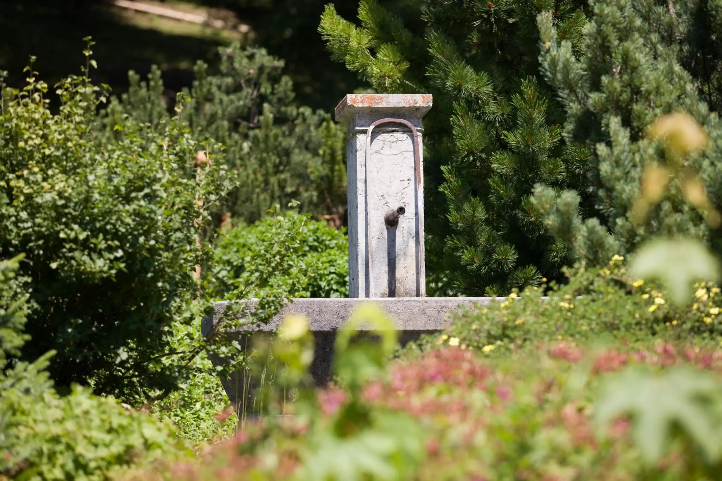 Garden in Parkhotel Schoenegg