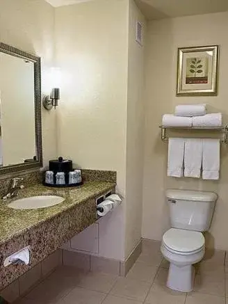 Bathroom in Holiday Inn Express & Suites Chicago West-O'Hare Arpt Area , an IHG Hotel