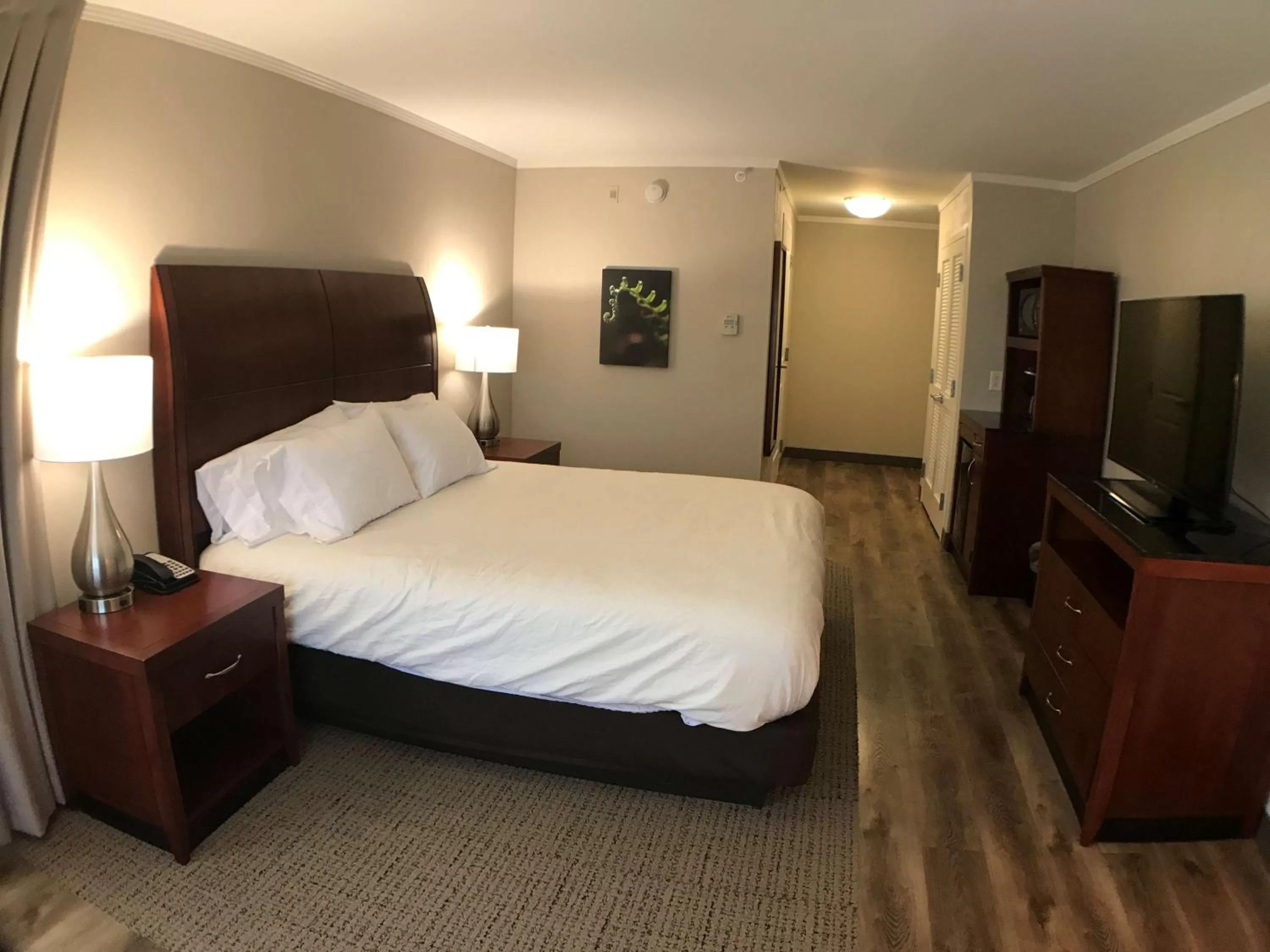 Bedroom, Bed in Hilton Garden Inn Bowling Green