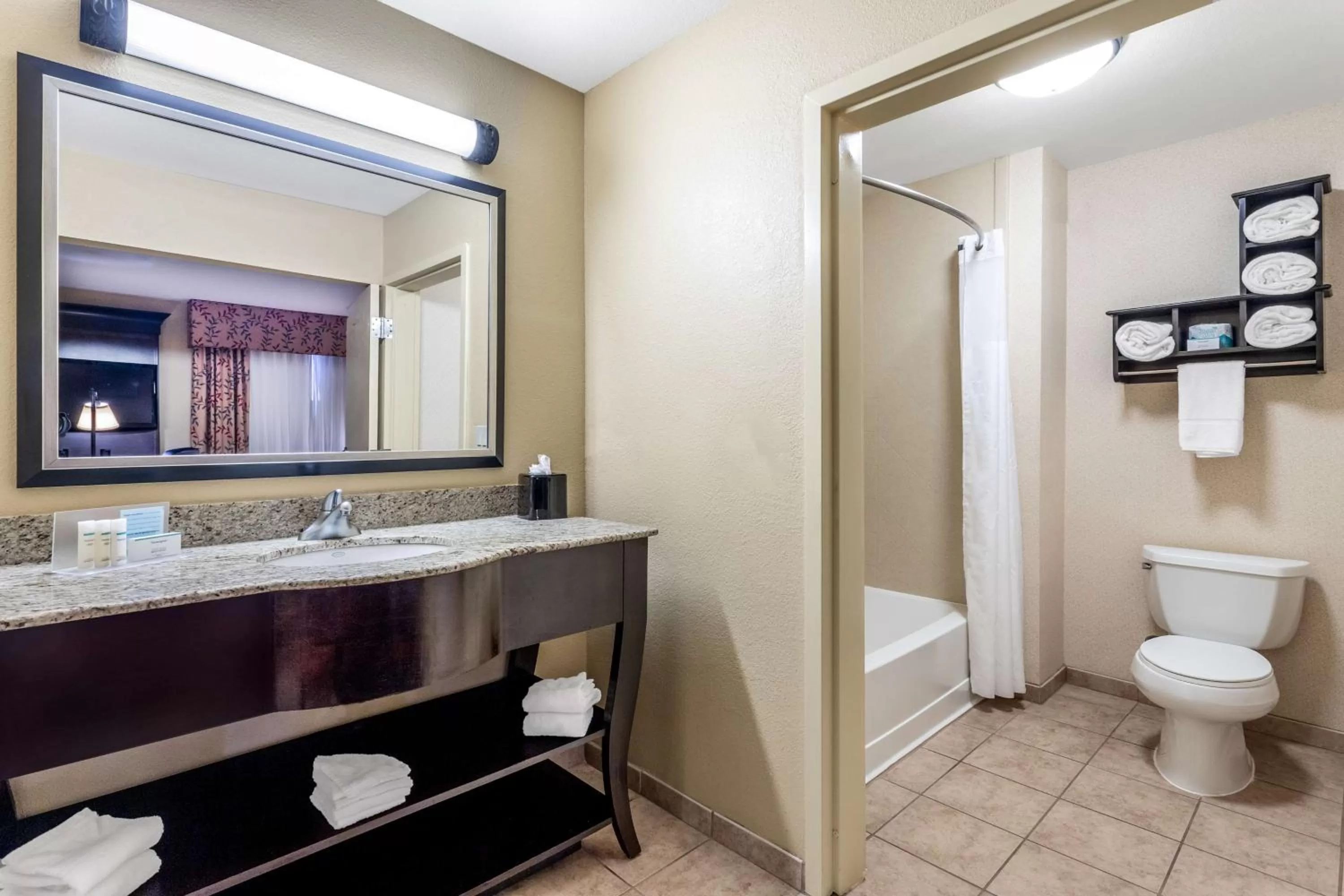 Bathroom in Hampton Inn & Suites Sacramento-Elk Grove Laguna I-5