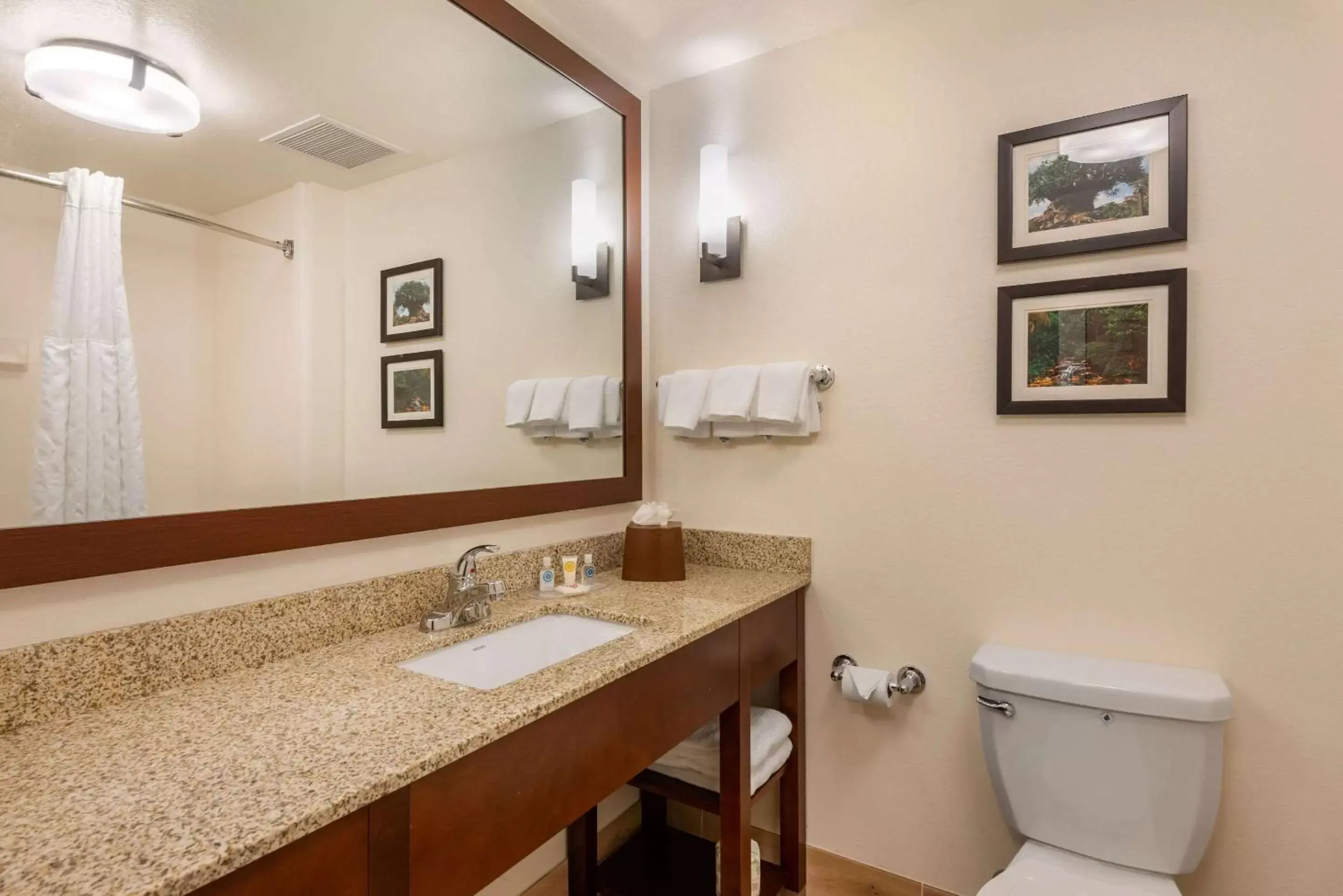 Photo of the whole room, Bathroom in Comfort Suites Downtown