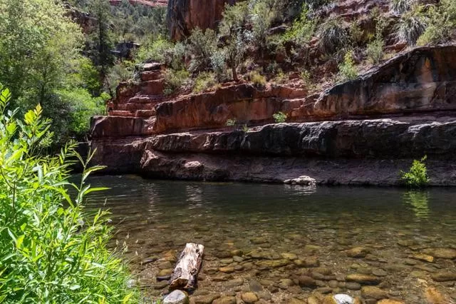 Natural Landscape in The Don Hoel Resort & Venue